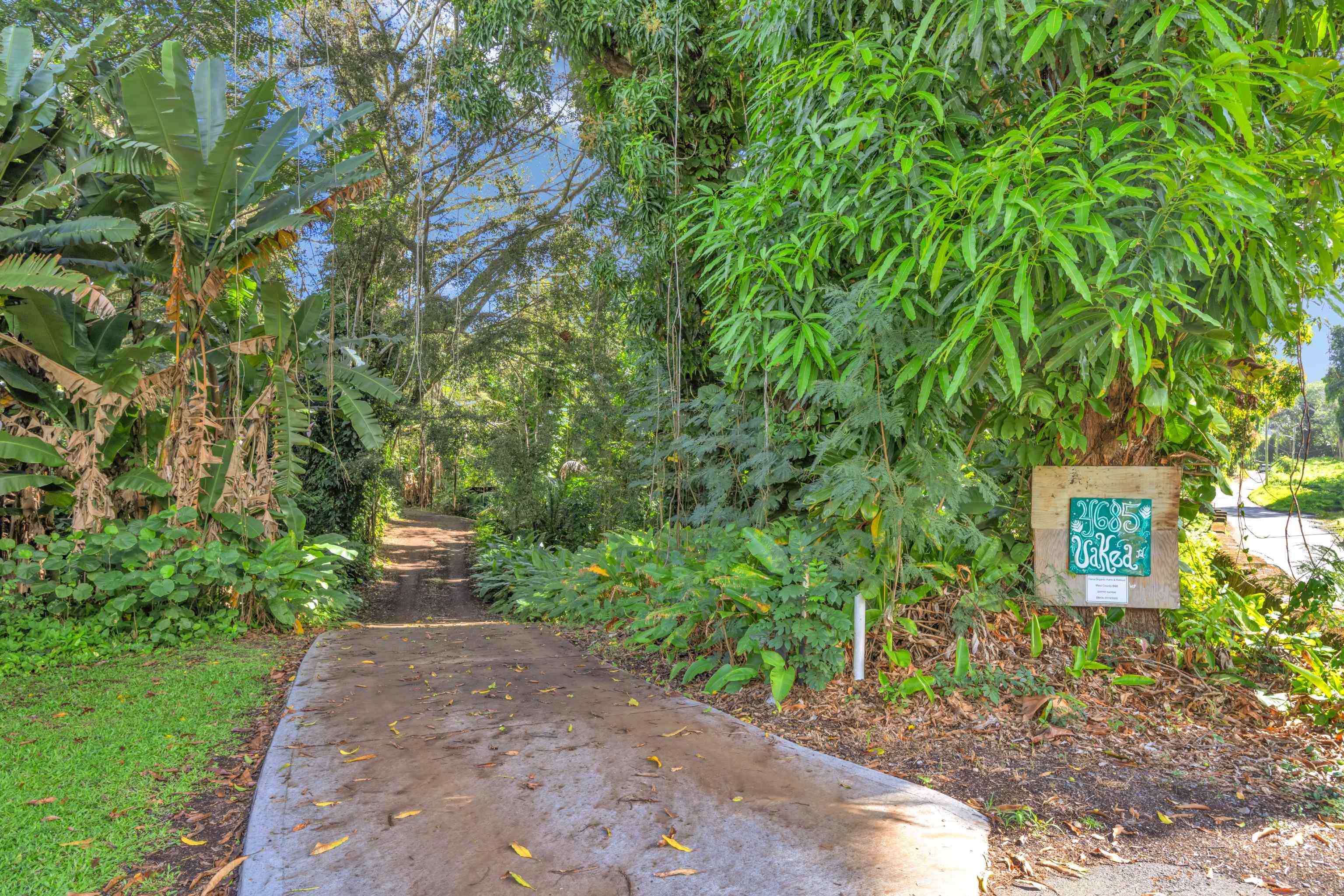 4685  Uakea Rd , Hana home - photo 3 of 50