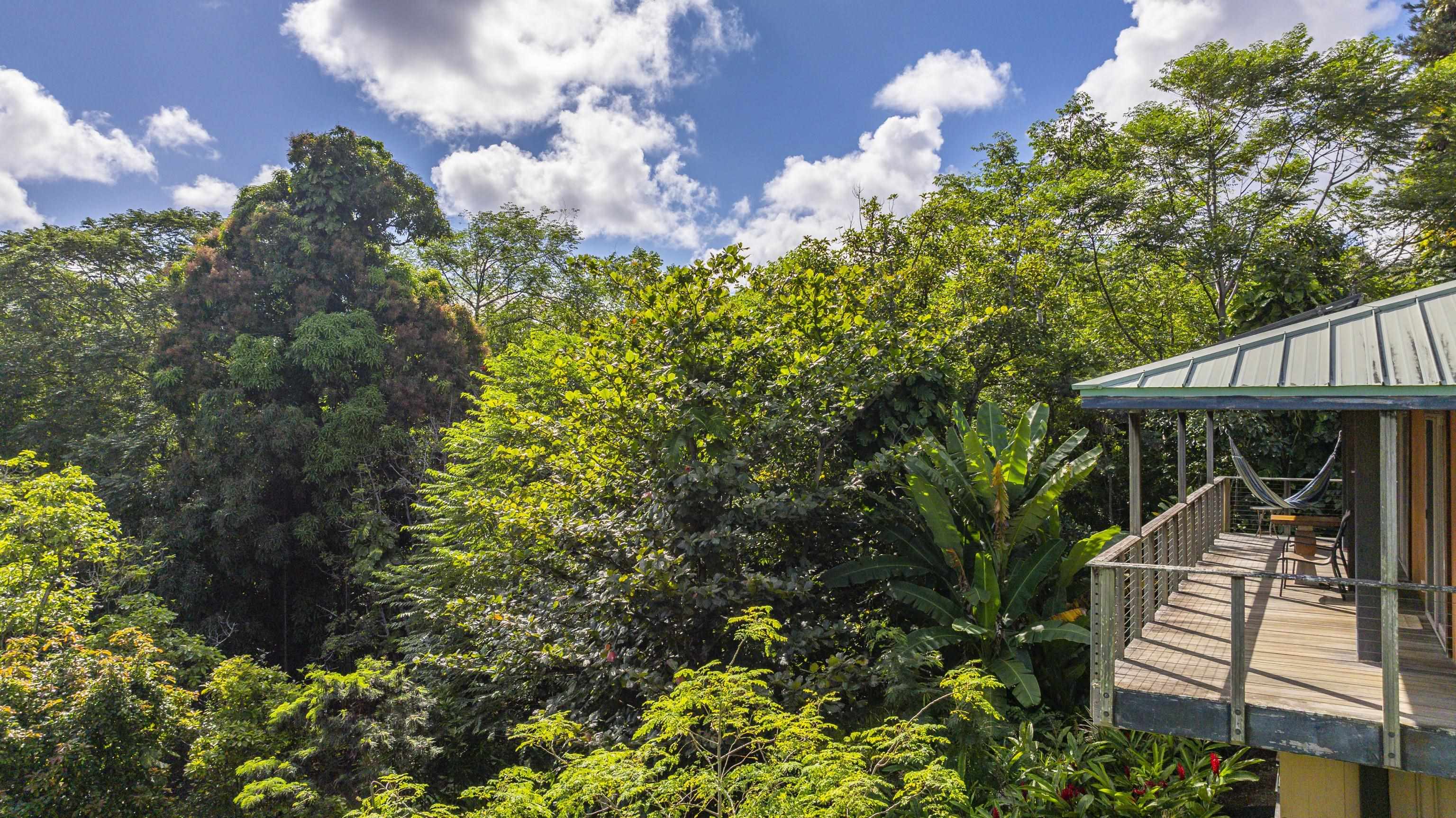4685  Uakea Rd , Hana home - photo 30 of 50