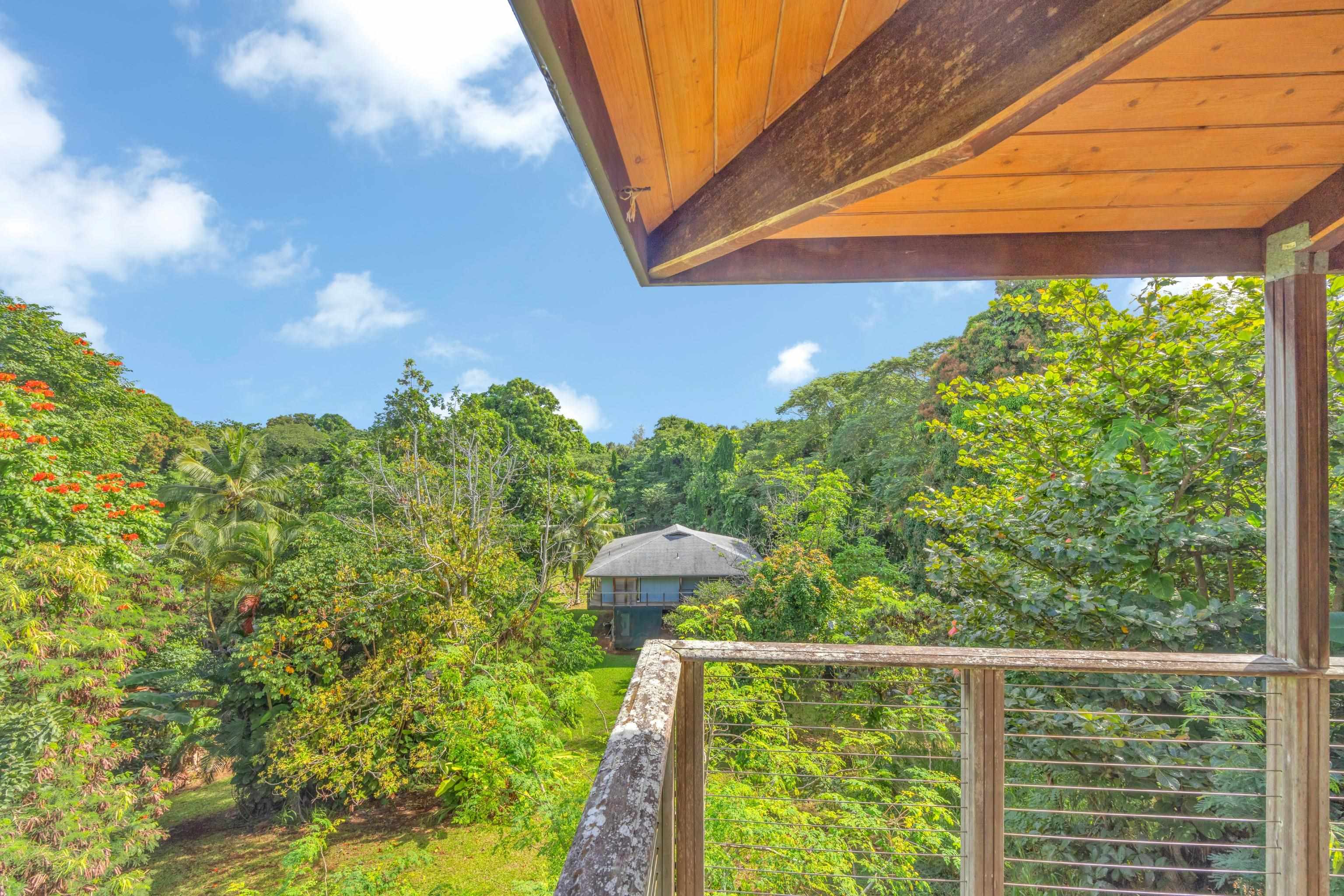 4685  Uakea Rd , Hana home - photo 48 of 50