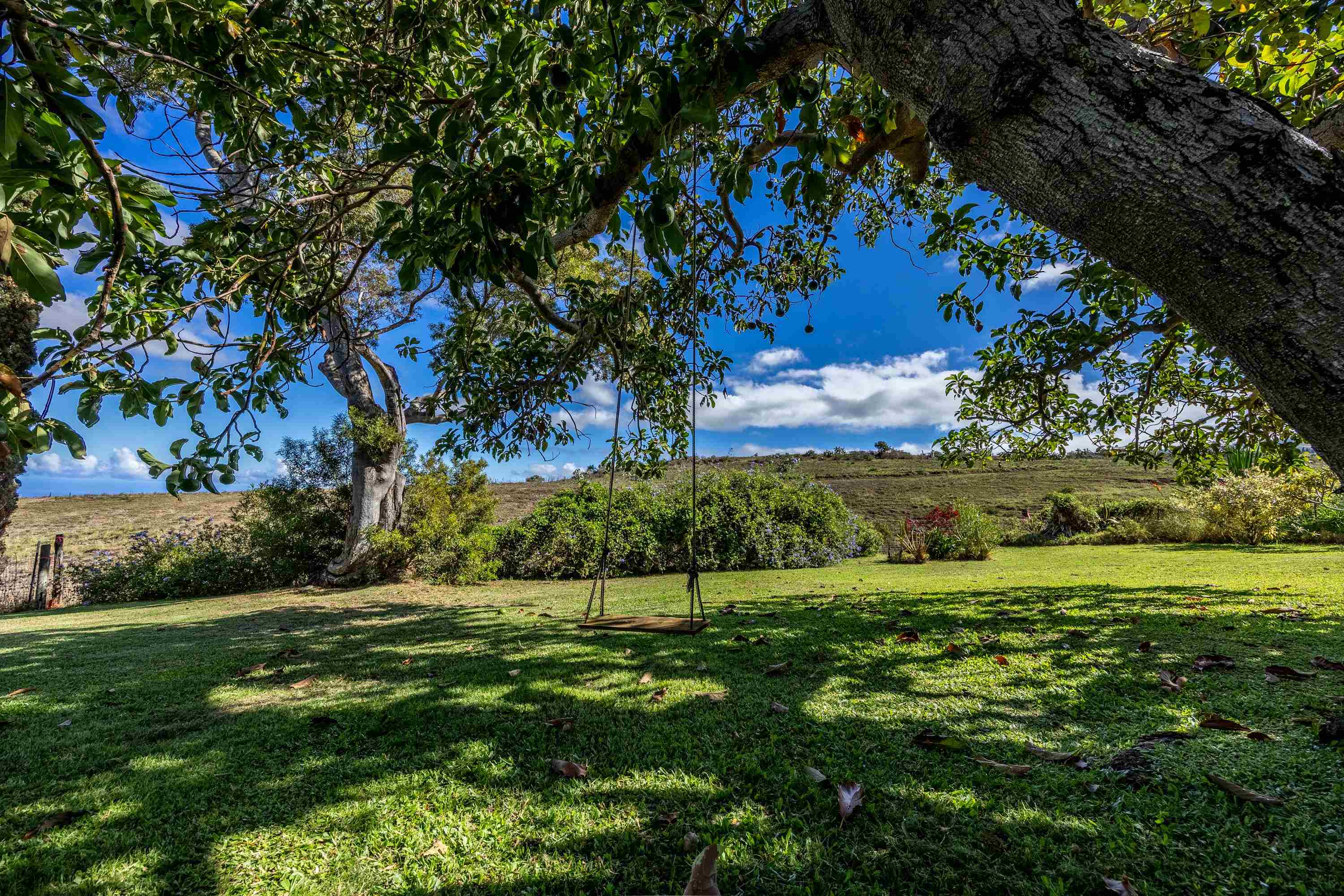 47  Ka Dr , Kula/Ulupalakua/Kanaio home - photo 17 of 50