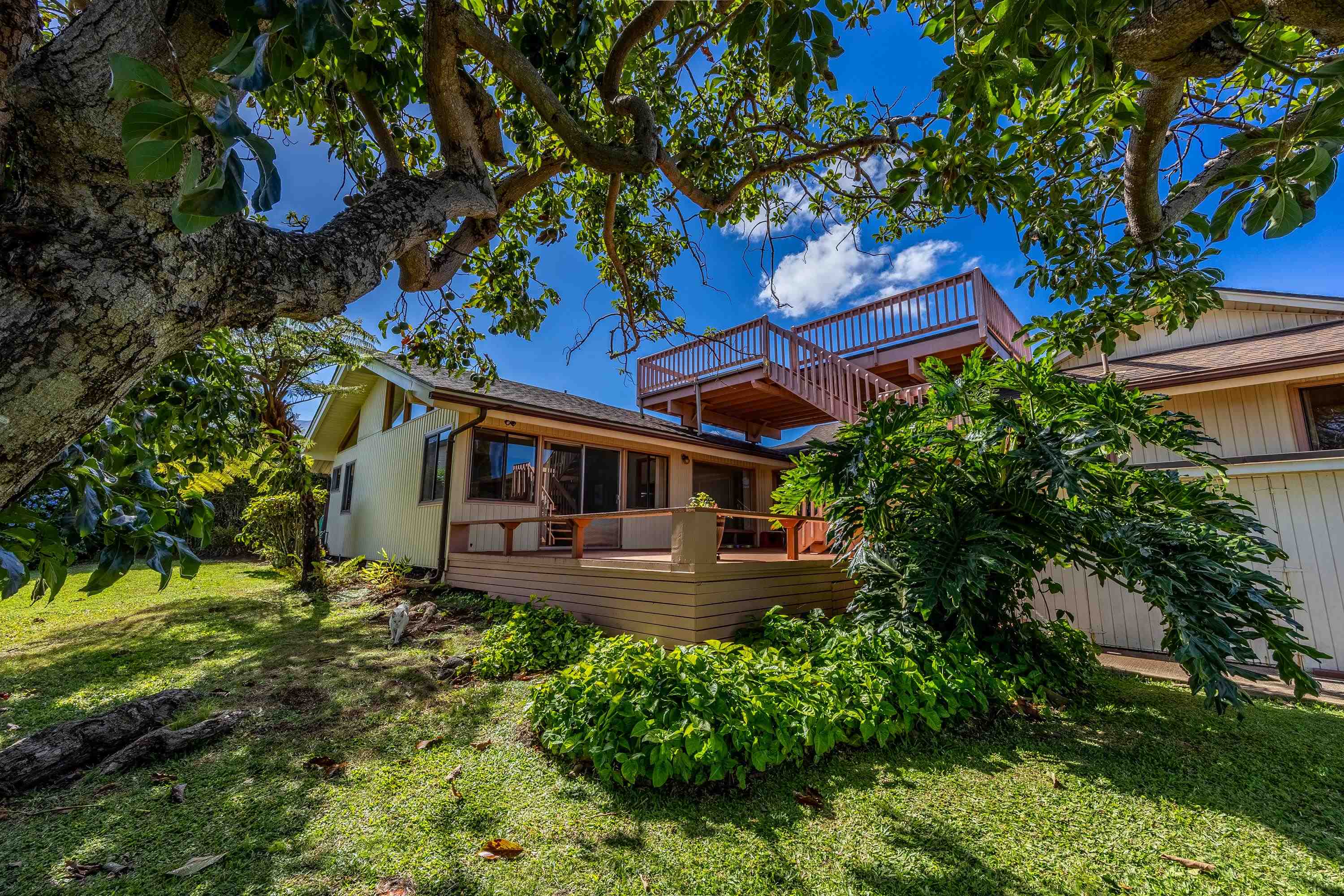 47  Ka Dr , Kula/Ulupalakua/Kanaio home - photo 18 of 50