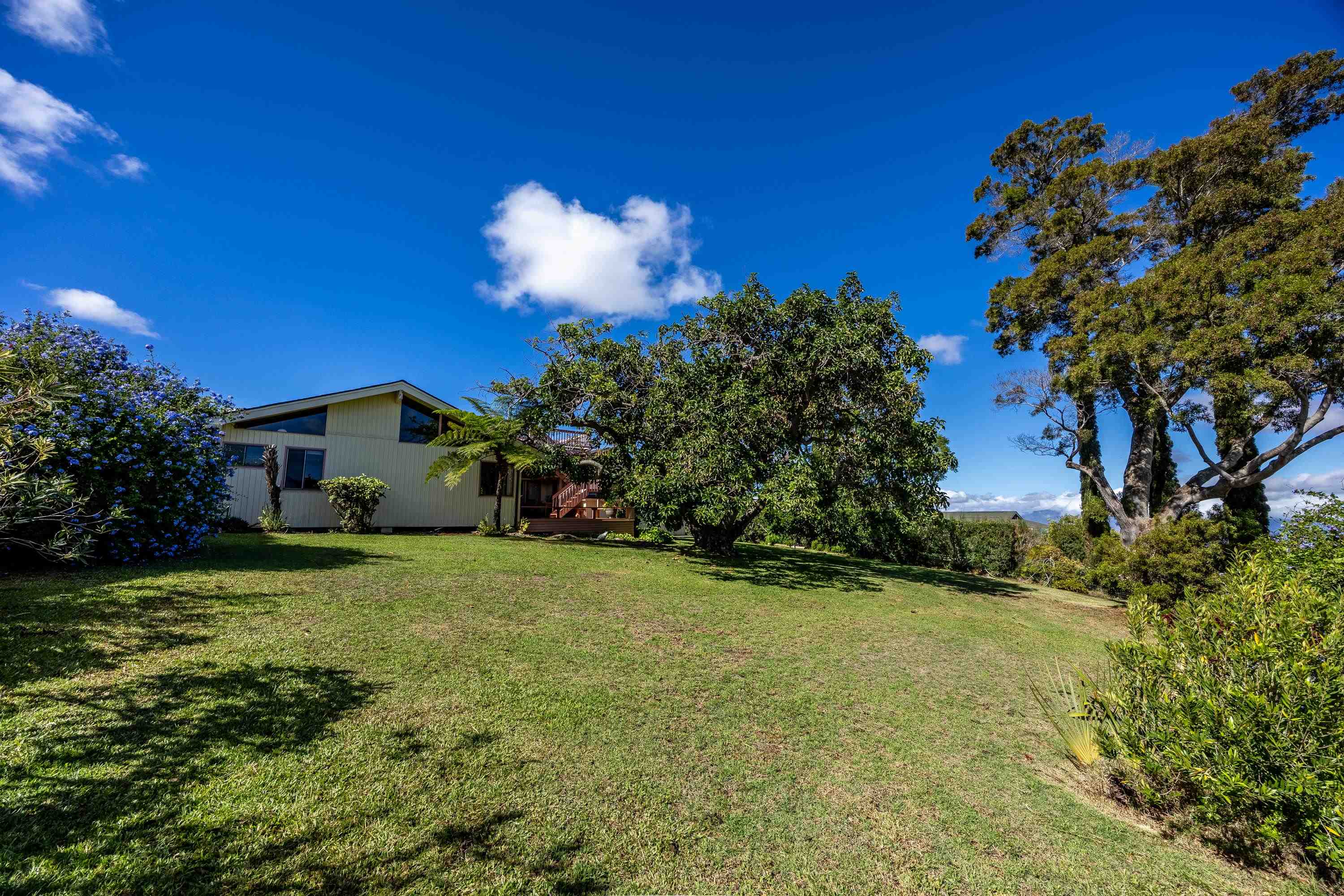 47  Ka Dr , Kula/Ulupalakua/Kanaio home - photo 19 of 50