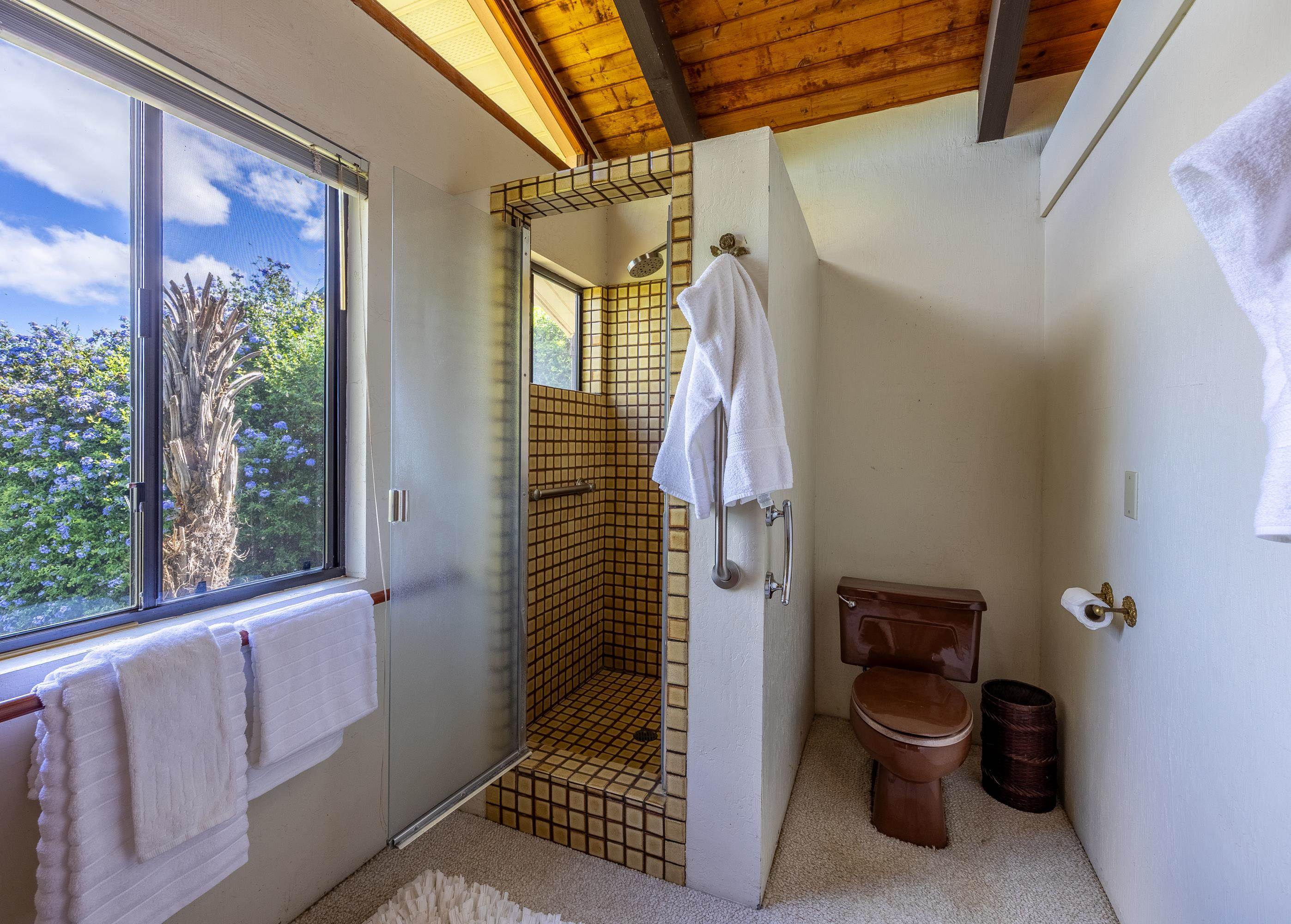 47  Ka Dr , Kula/Ulupalakua/Kanaio home - photo 28 of 50