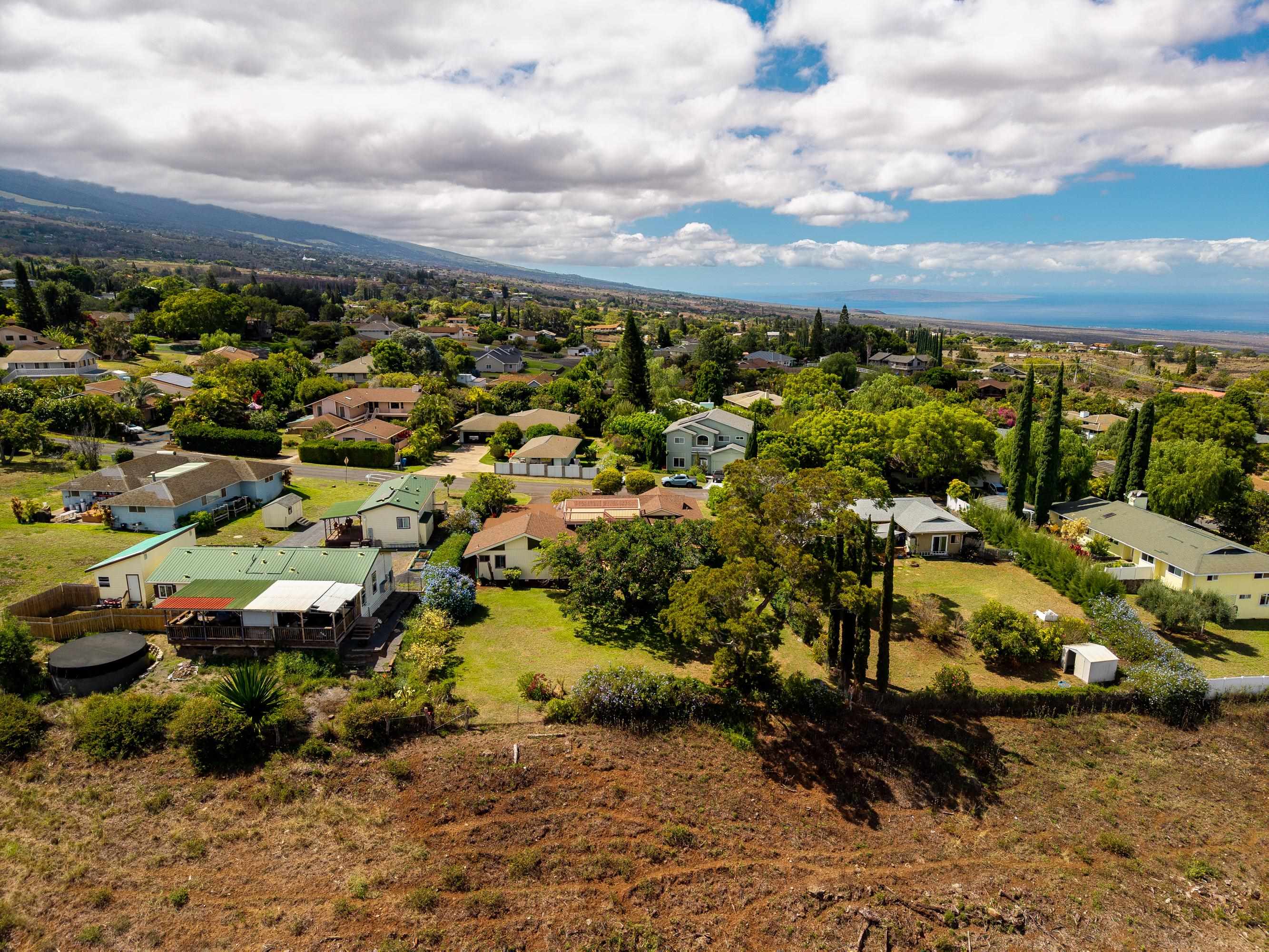 47  Ka Dr , Kula/Ulupalakua/Kanaio home - photo 46 of 50
