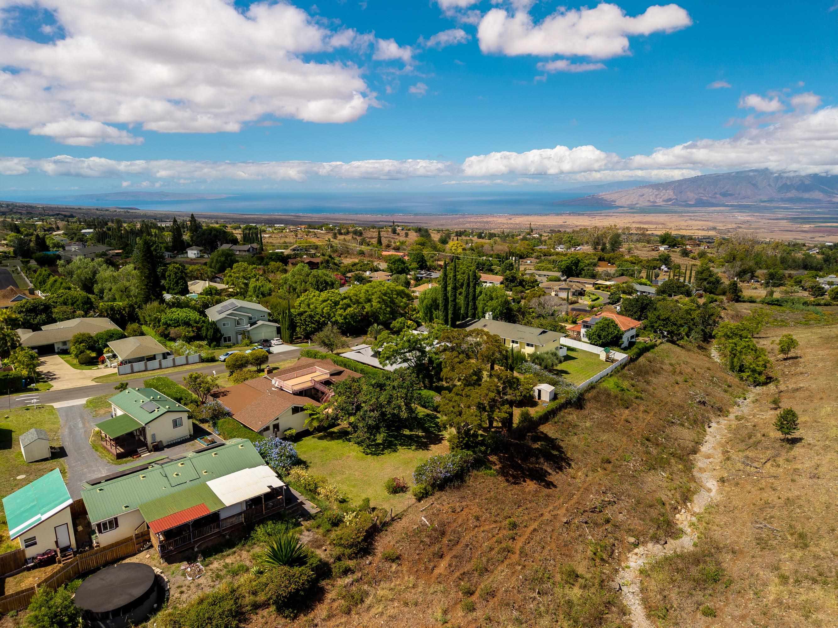 47  Ka Dr , Kula/Ulupalakua/Kanaio home - photo 47 of 50