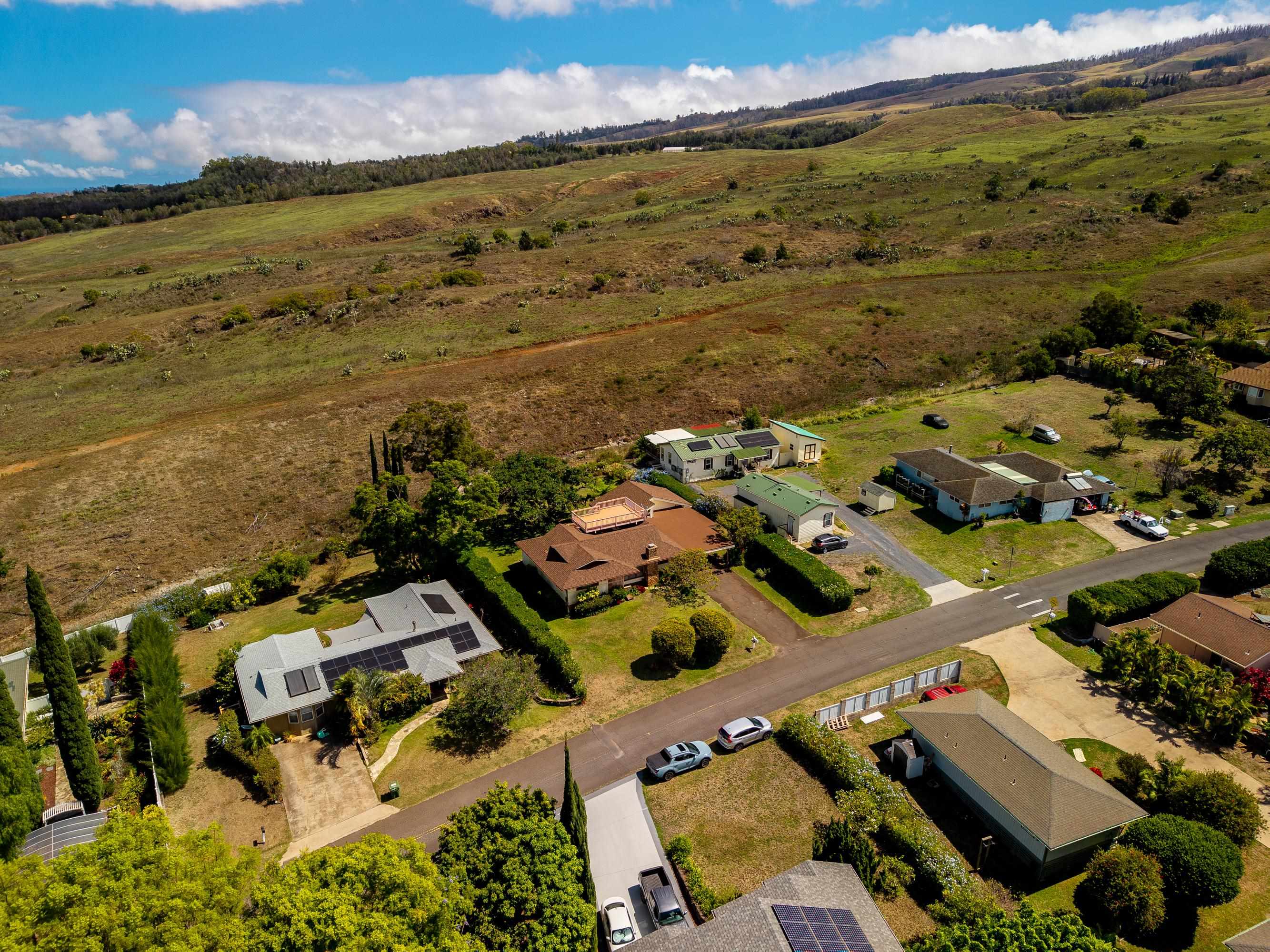 47  Ka Dr , Kula/Ulupalakua/Kanaio home - photo 49 of 50