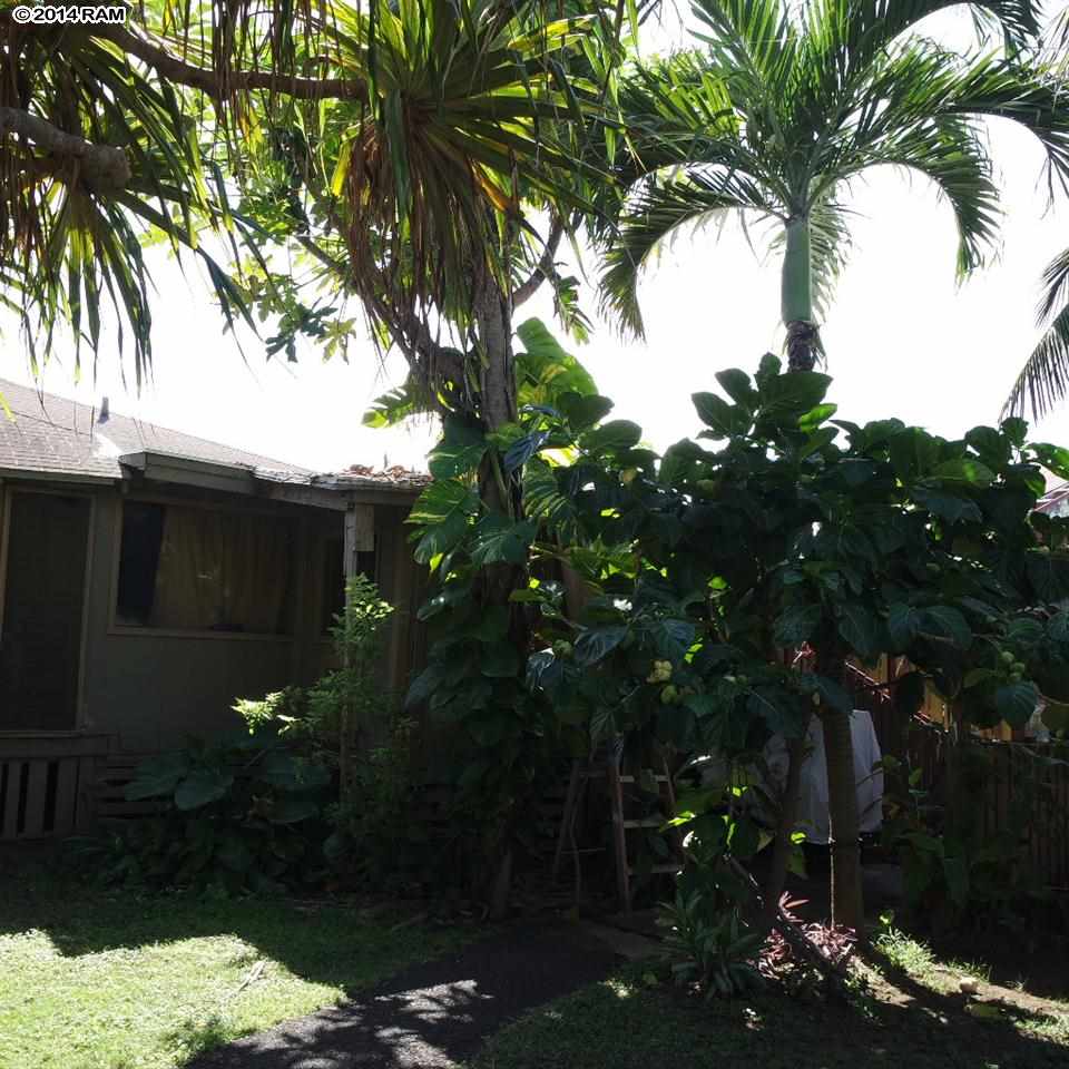 471  Kanai Pl Pakukalo, Wailuku home - photo 14 of 19