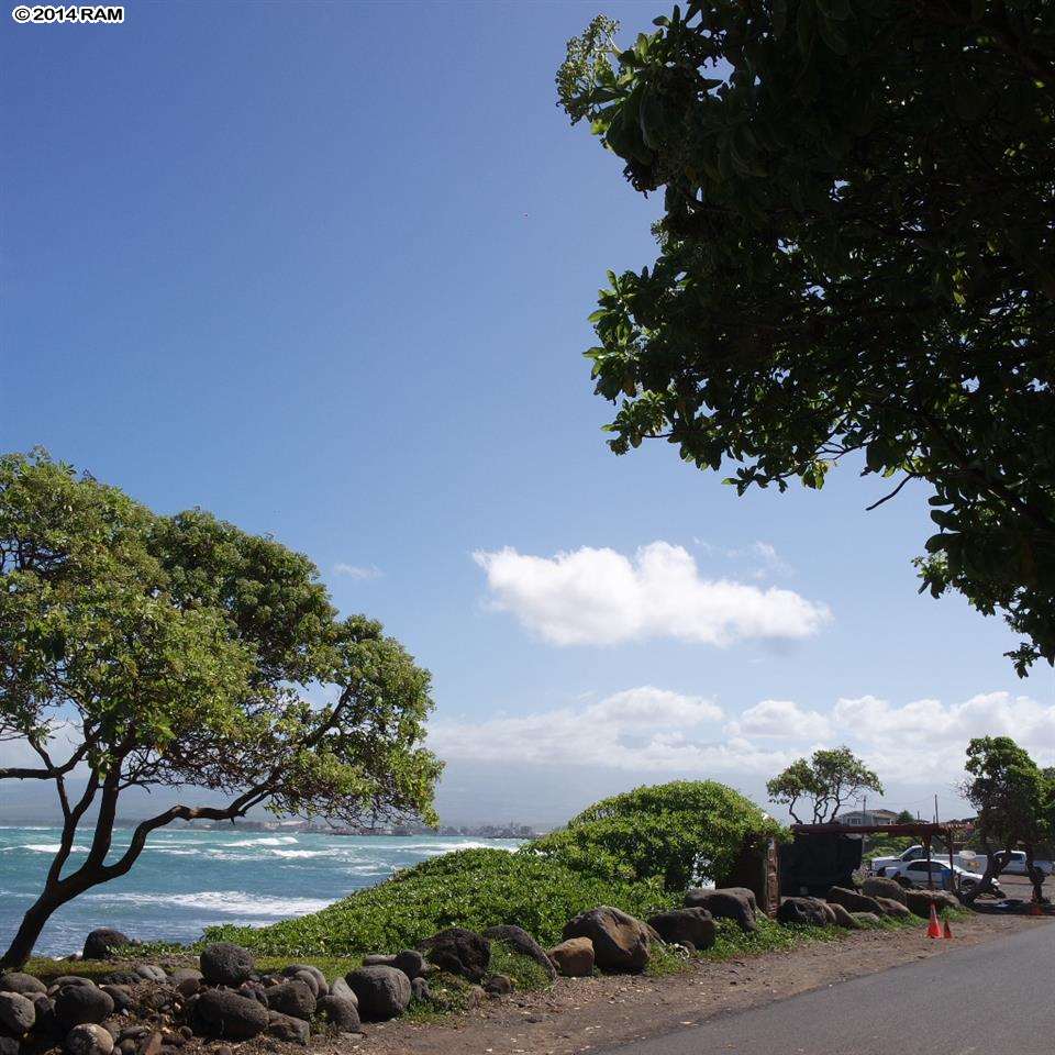 471  Kanai Pl Pakukalo, Wailuku home - photo 17 of 19