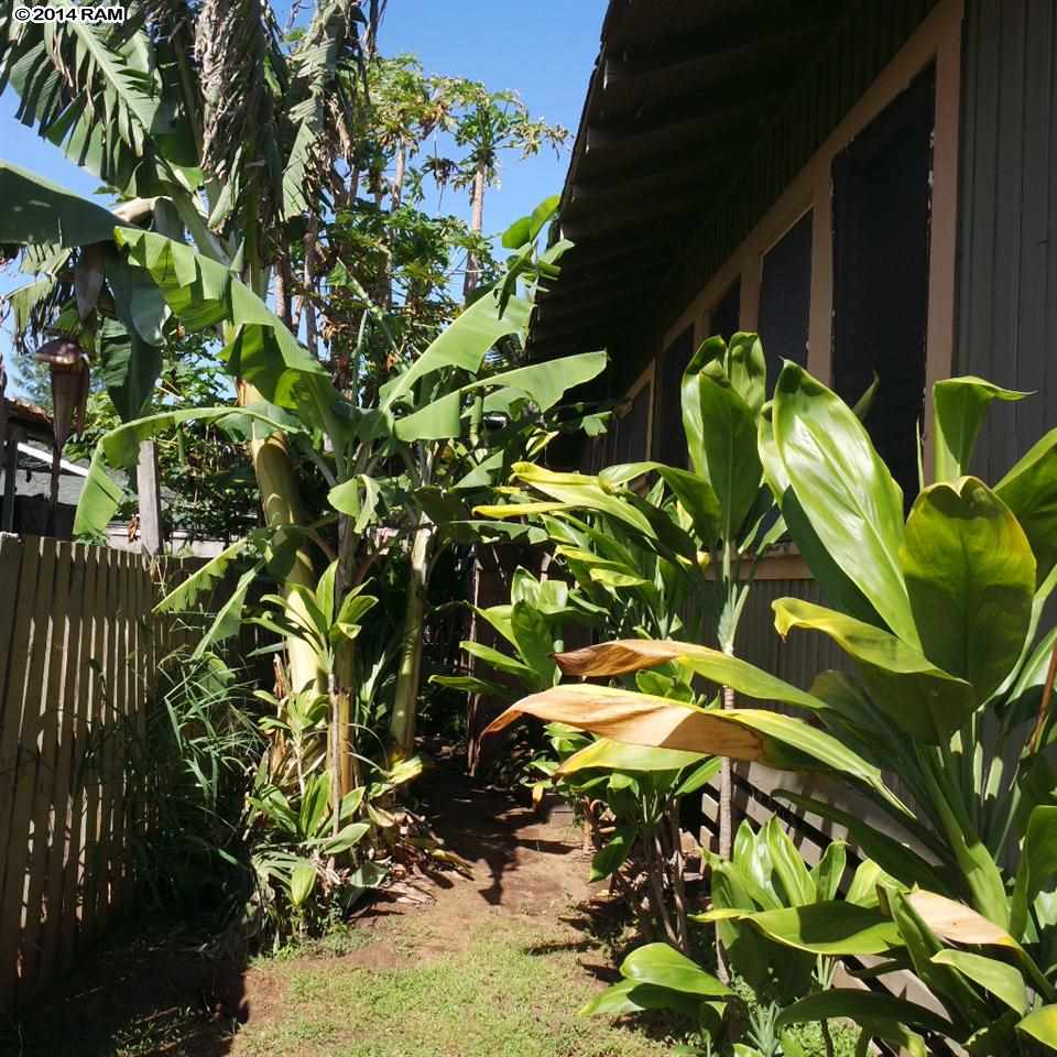 471  Kanai Pl Pakukalo, Wailuku home - photo 8 of 19