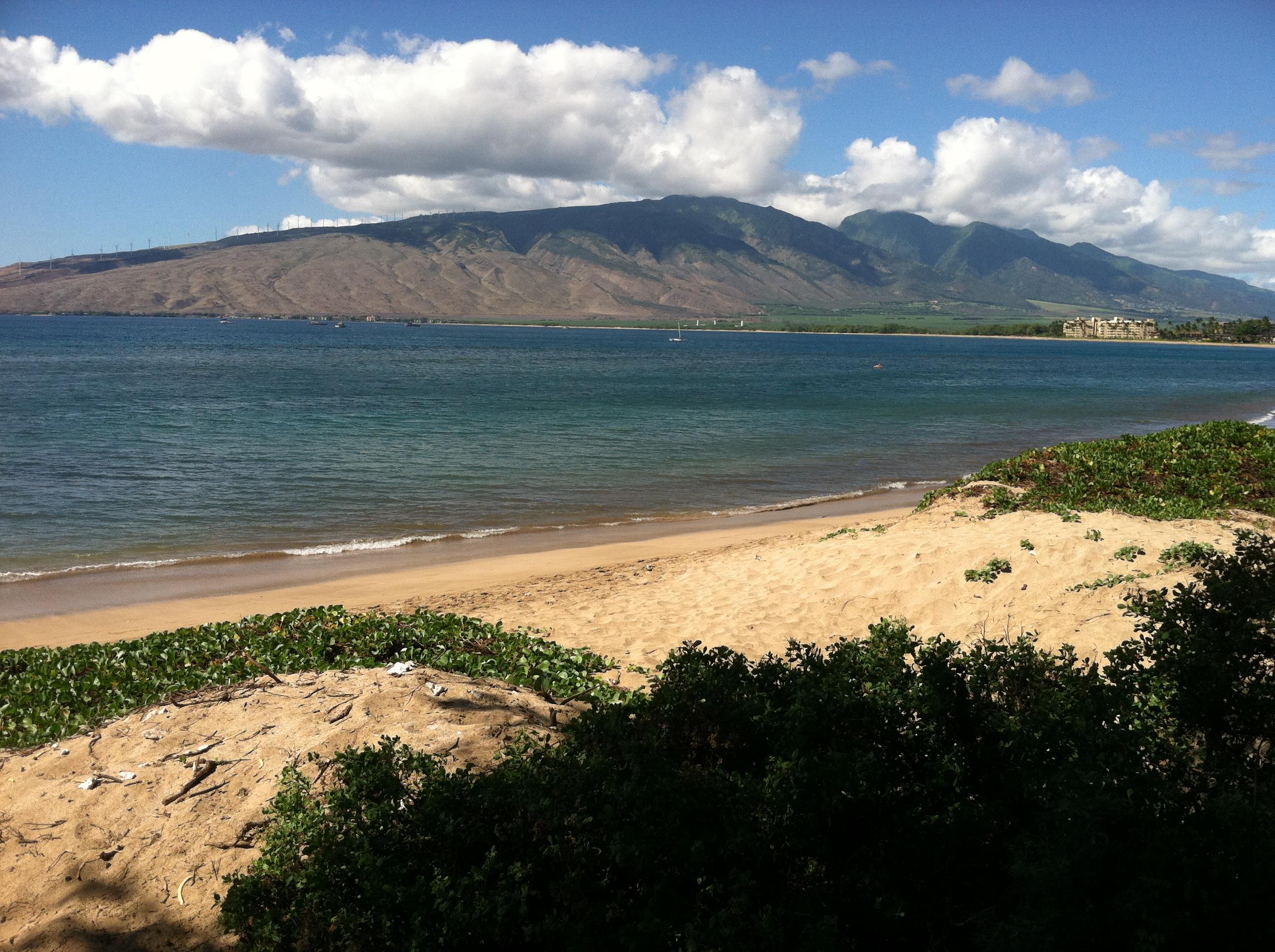 472  Kaiola Pl Kaiola Oceanside, Kihei home - photo 5 of 6