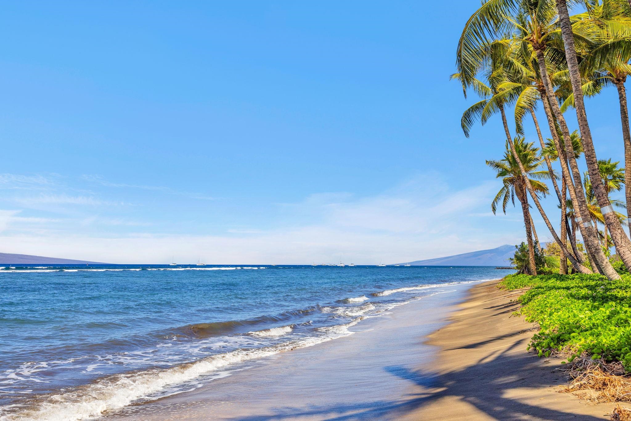 Lahaina Shores condo # 202, Lahaina, Hawaii - photo 27 of 28