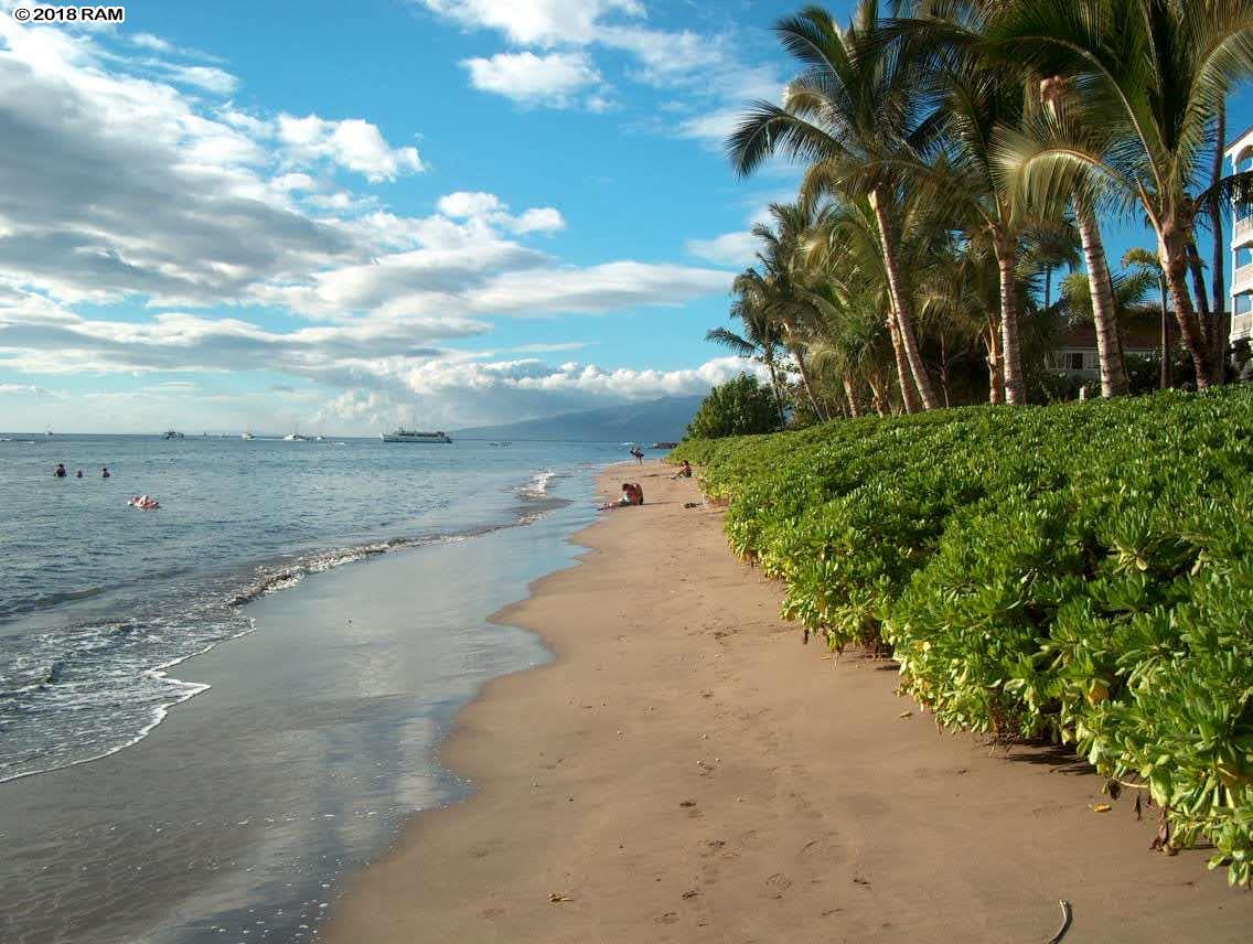Lahaina Shores condo # 208, Lahaina, Hawaii - photo 30 of 30