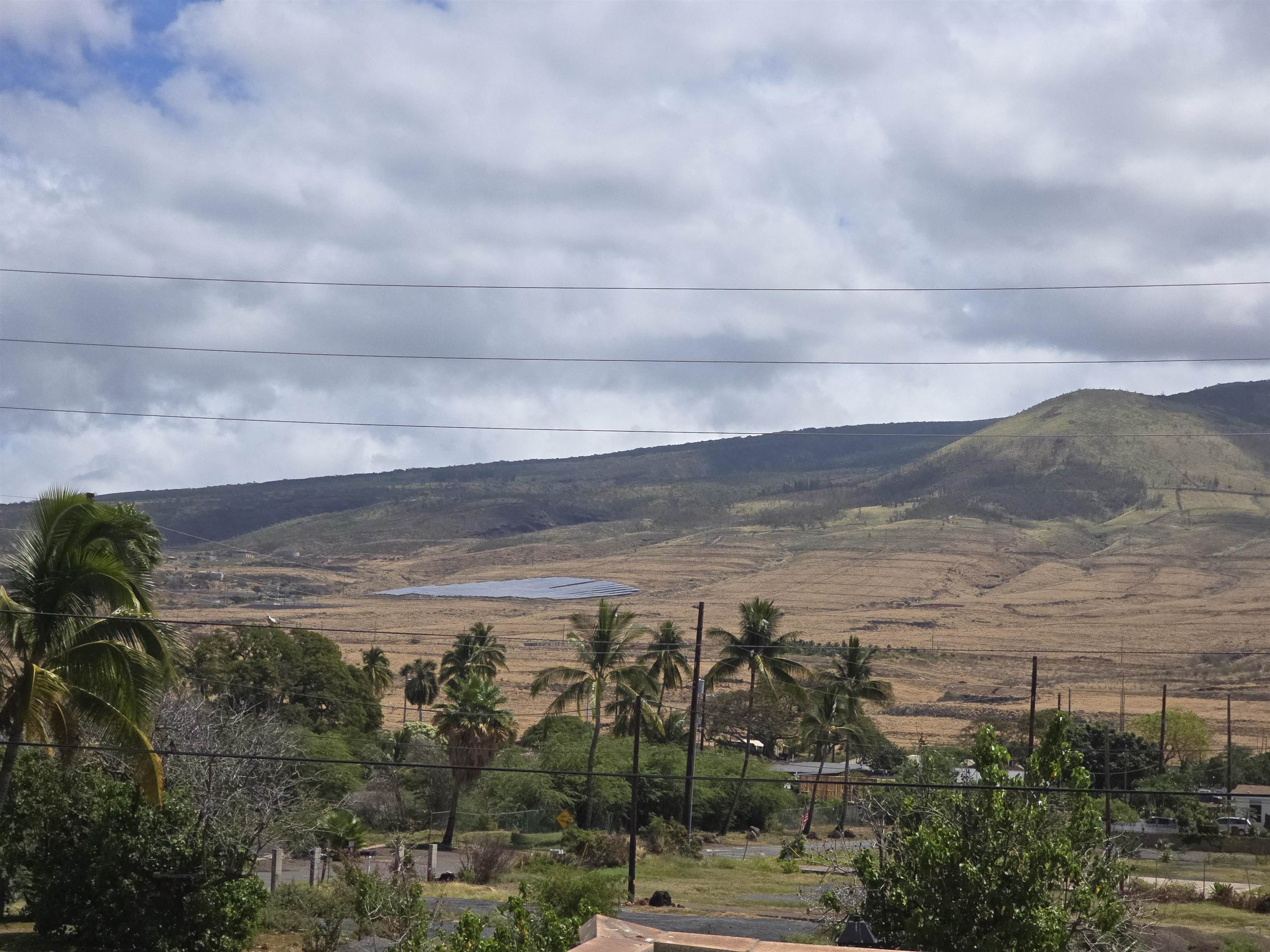 Lahaina Shores condo # 220, Lahaina, Hawaii - photo 22 of 23