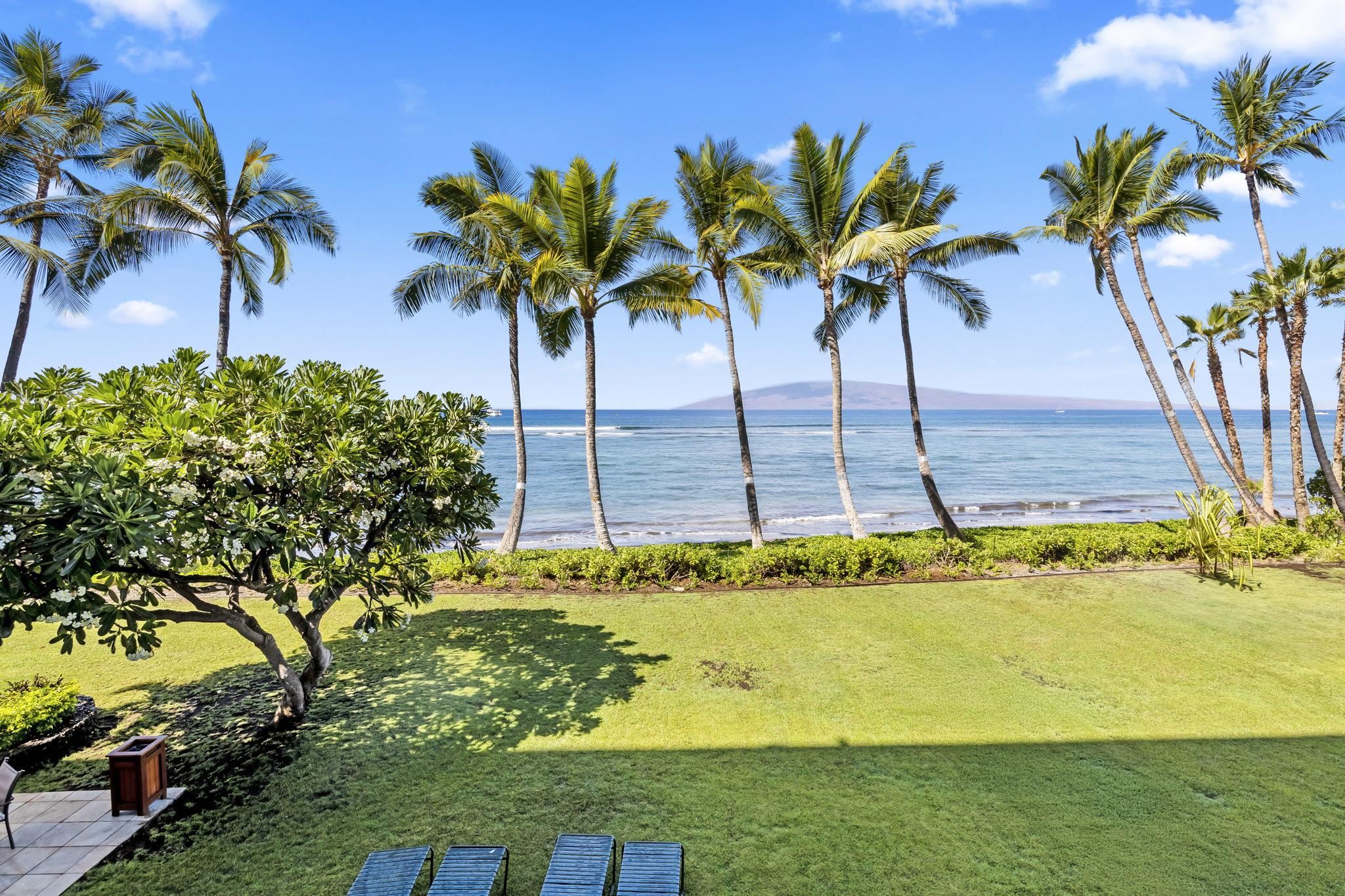 Lahaina Shores condo # 229, Lahaina, Hawaii - photo 30 of 30