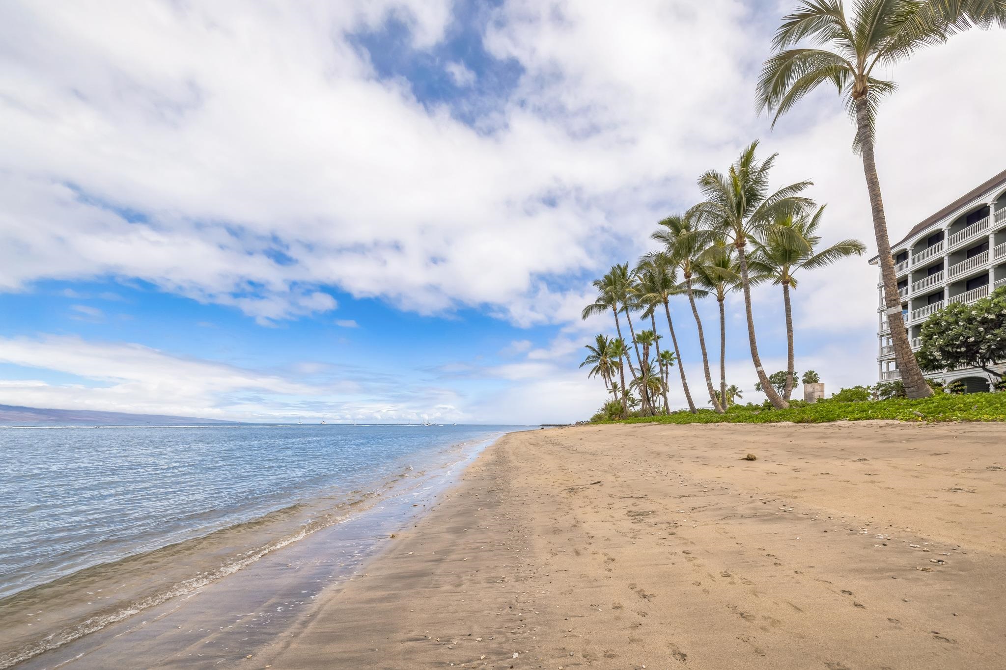 Lahaina Shores condo # 235, Lahaina, Hawaii - photo 26 of 33