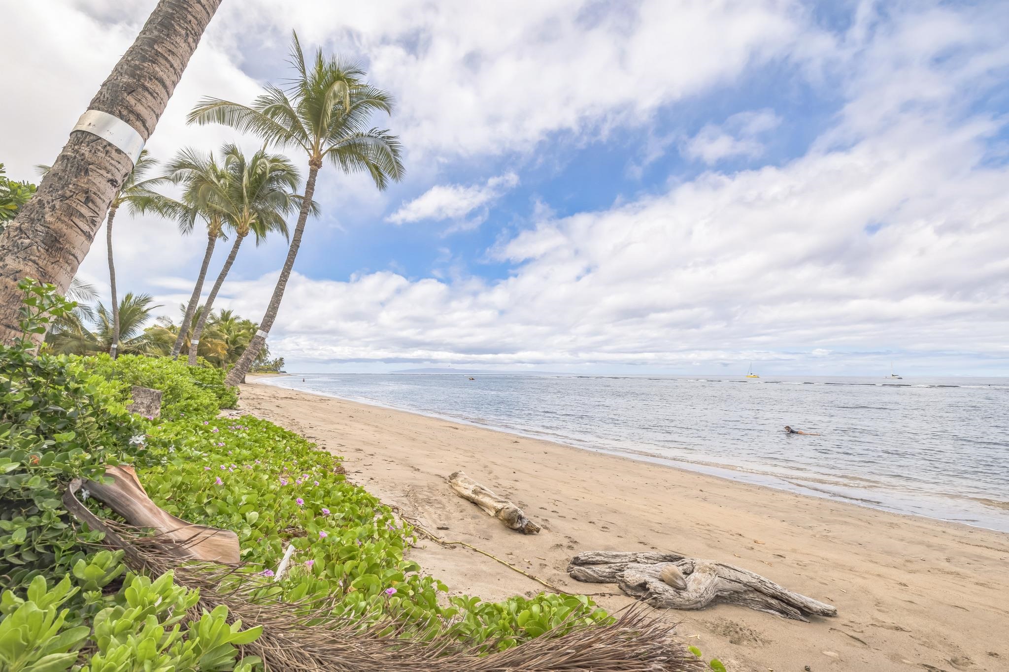 Lahaina Shores condo # 235, Lahaina, Hawaii - photo 28 of 33