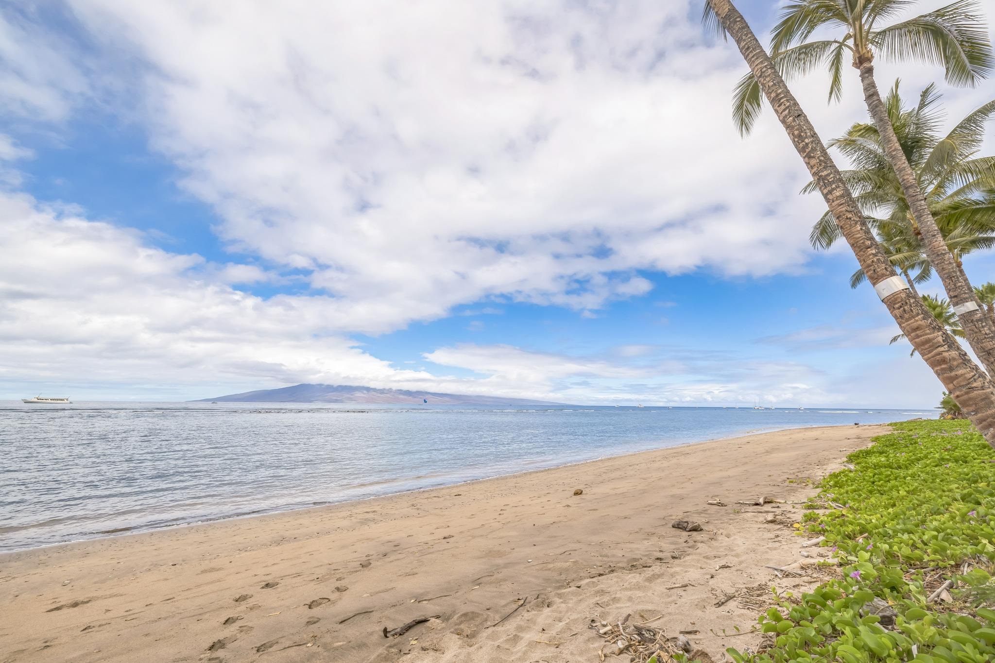 Lahaina Shores condo # 235, Lahaina, Hawaii - photo 31 of 33