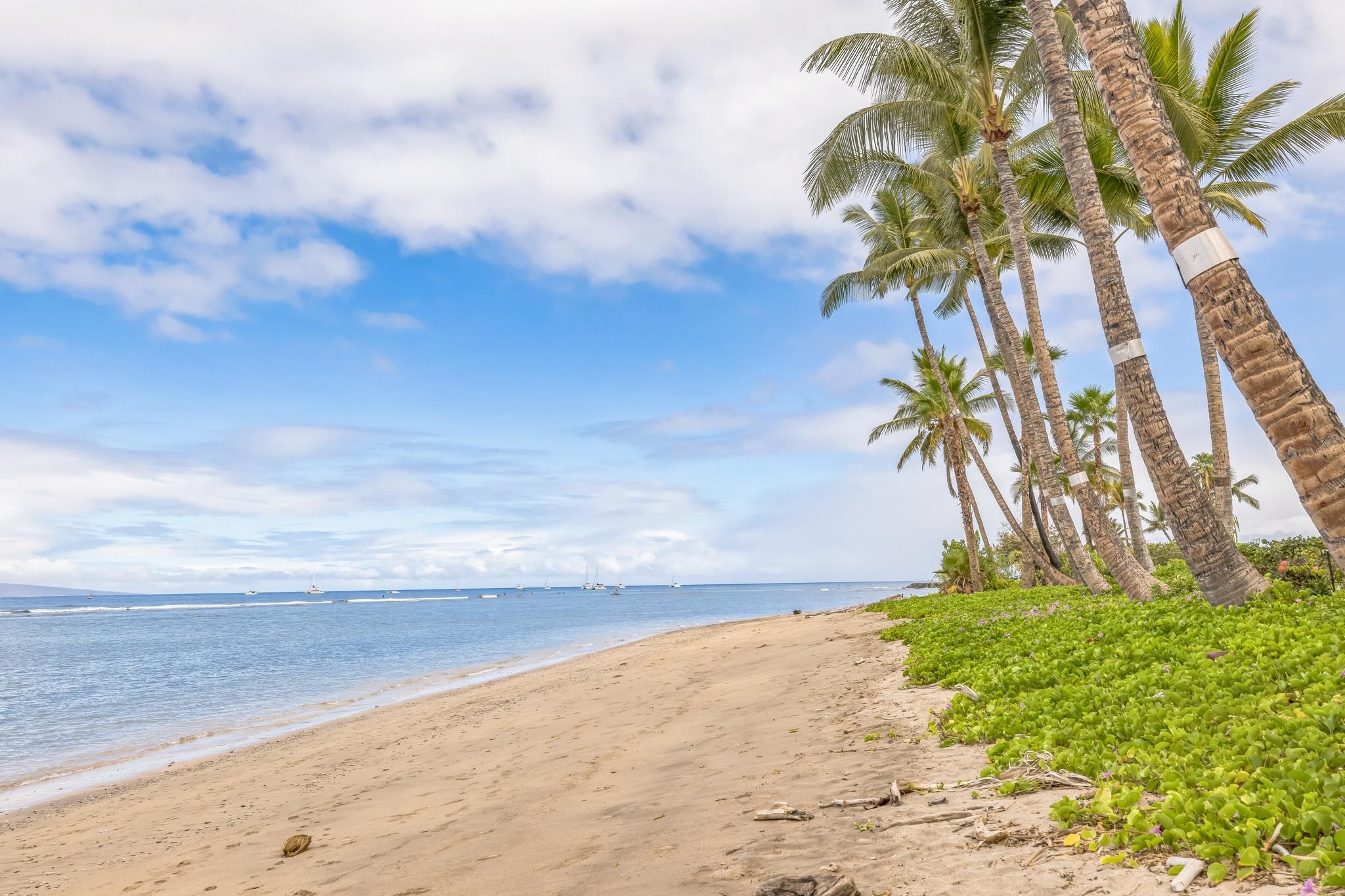 Lahaina Shores condo # 235, Lahaina, Hawaii - photo 33 of 33