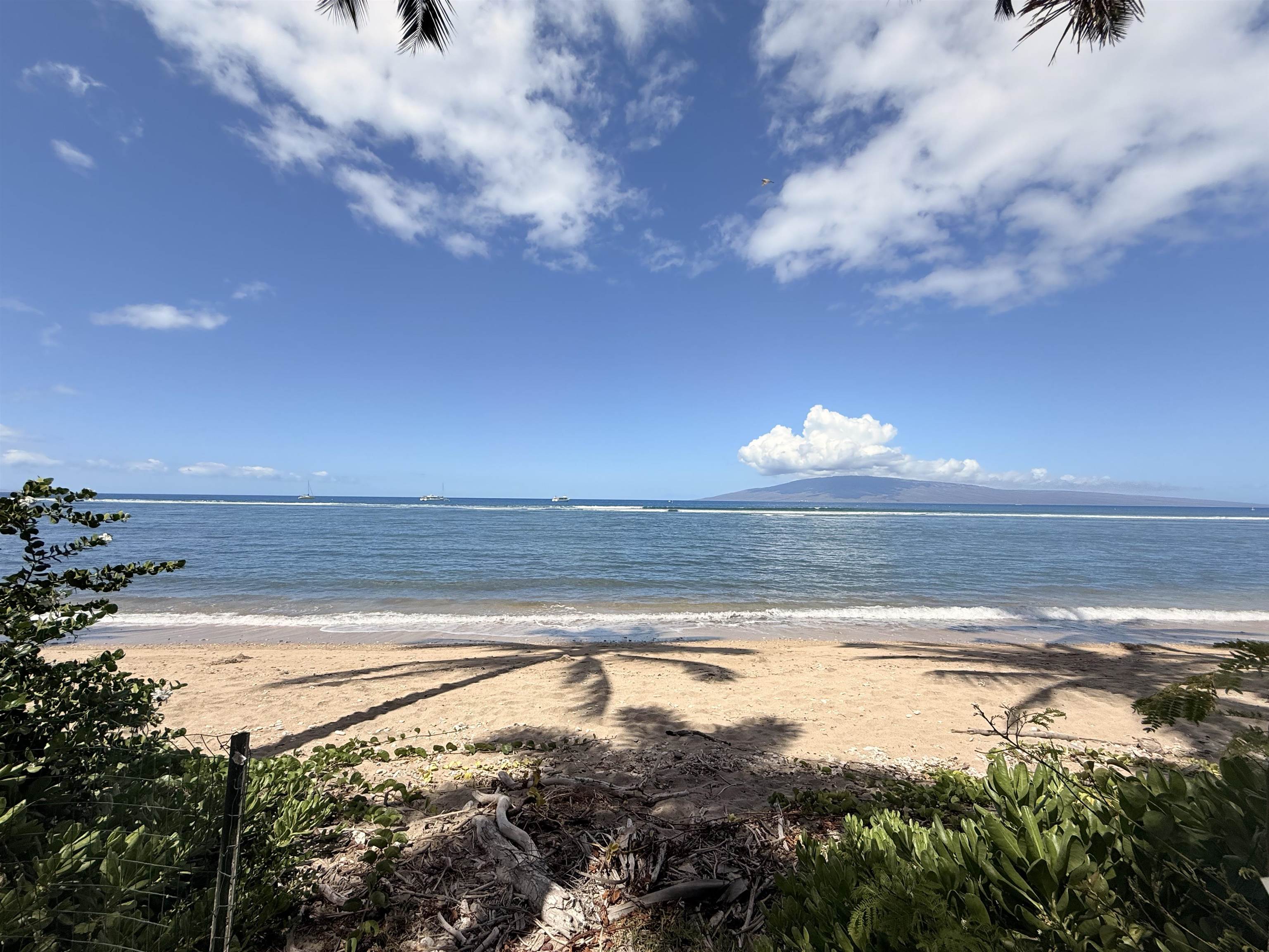 Lahaina Shores condo # 308, Lahaina, Hawaii - photo 31 of 40
