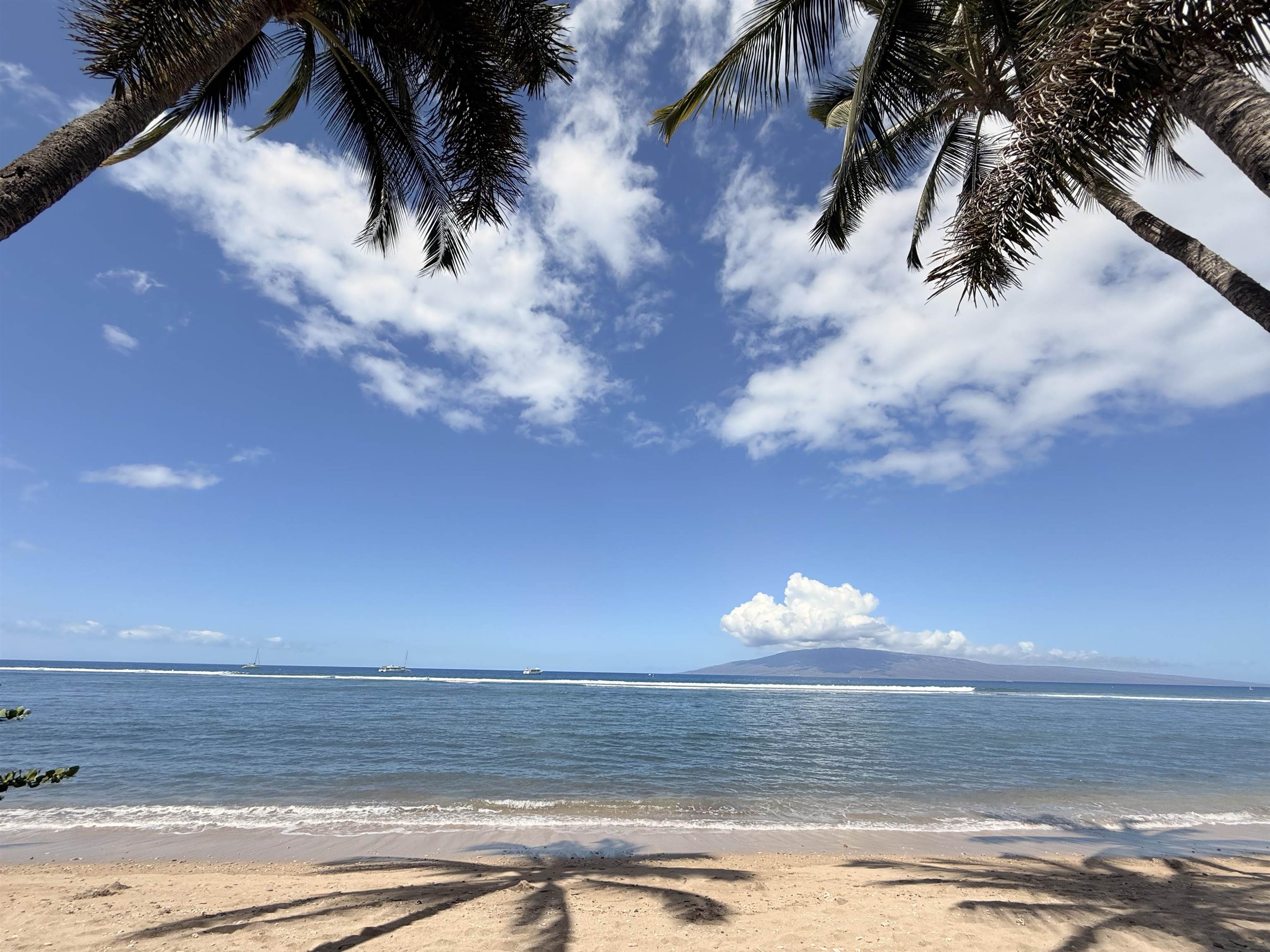 Lahaina Shores condo # 308, Lahaina, Hawaii - photo 32 of 40