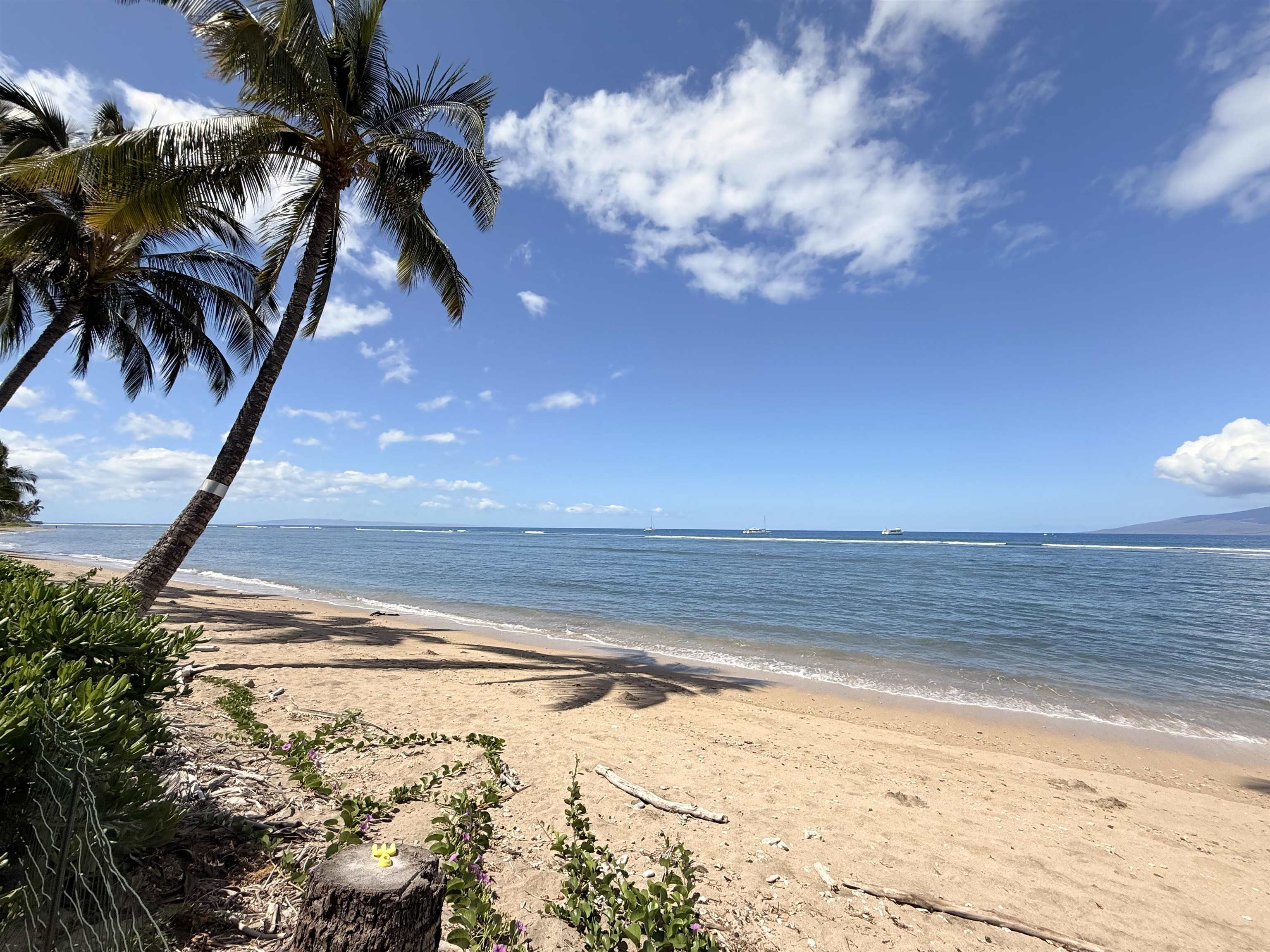 Lahaina Shores condo # 308, Lahaina, Hawaii - photo 34 of 40