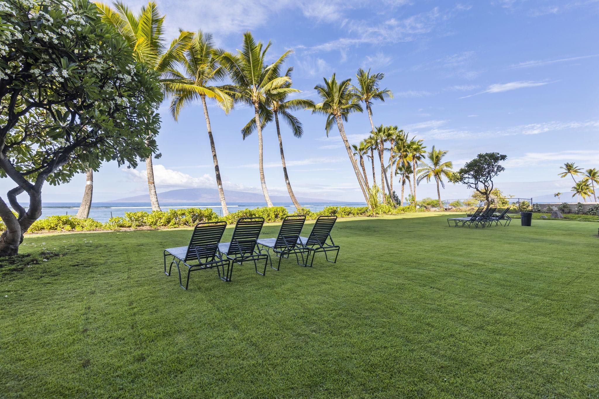 Lahaina Shores condo # 326, Lahaina, Hawaii - photo 21 of 23