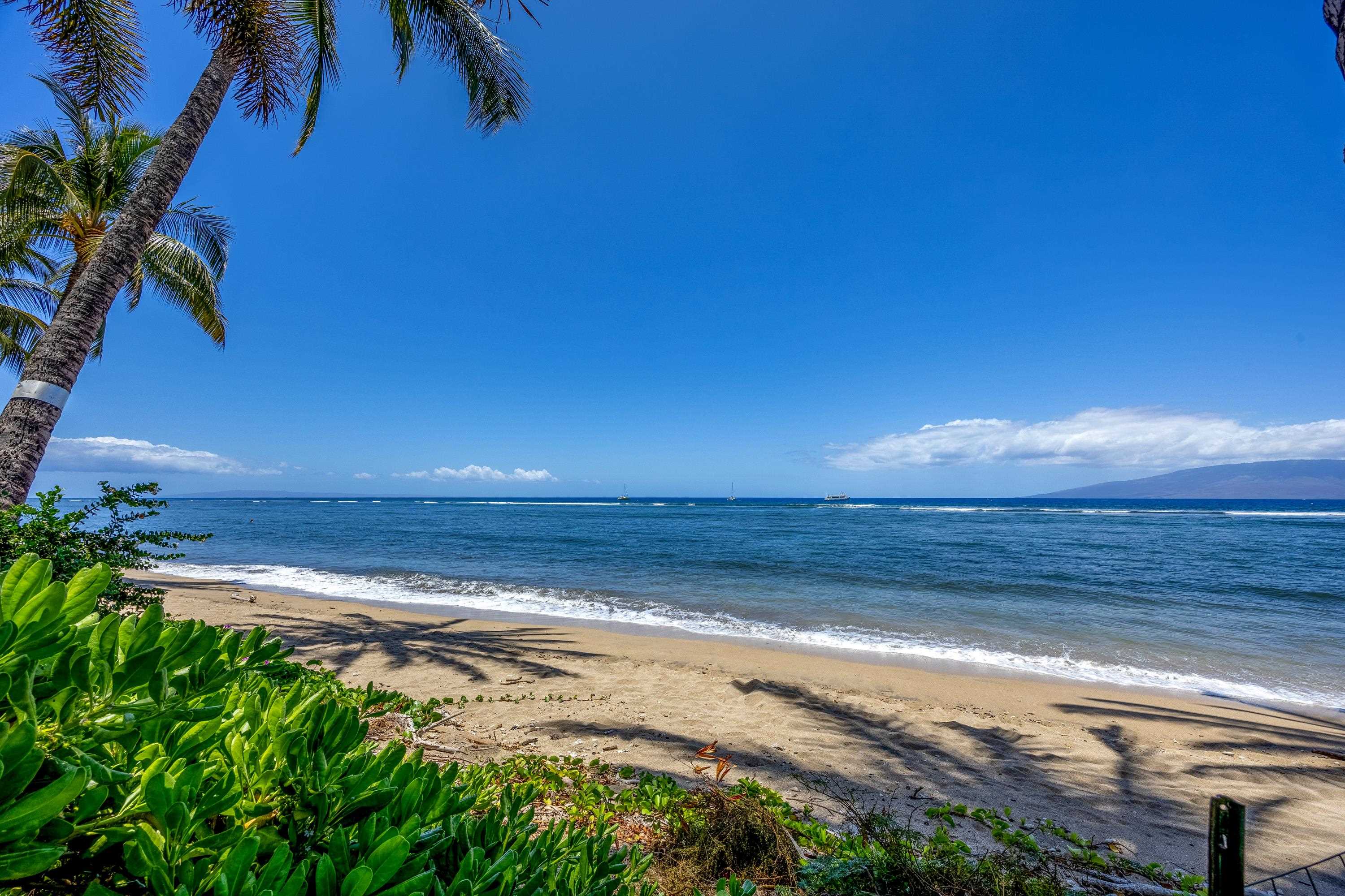 Lahaina Shores condo # 327, Lahaina, Hawaii - photo 24 of 27