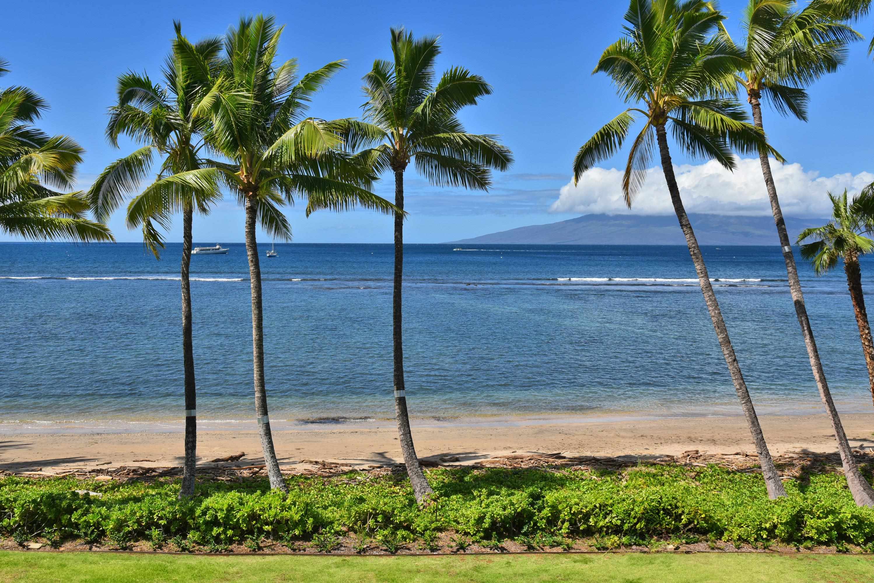 Lahaina Shores condo # 333, Lahaina, Hawaii - photo 23 of 38