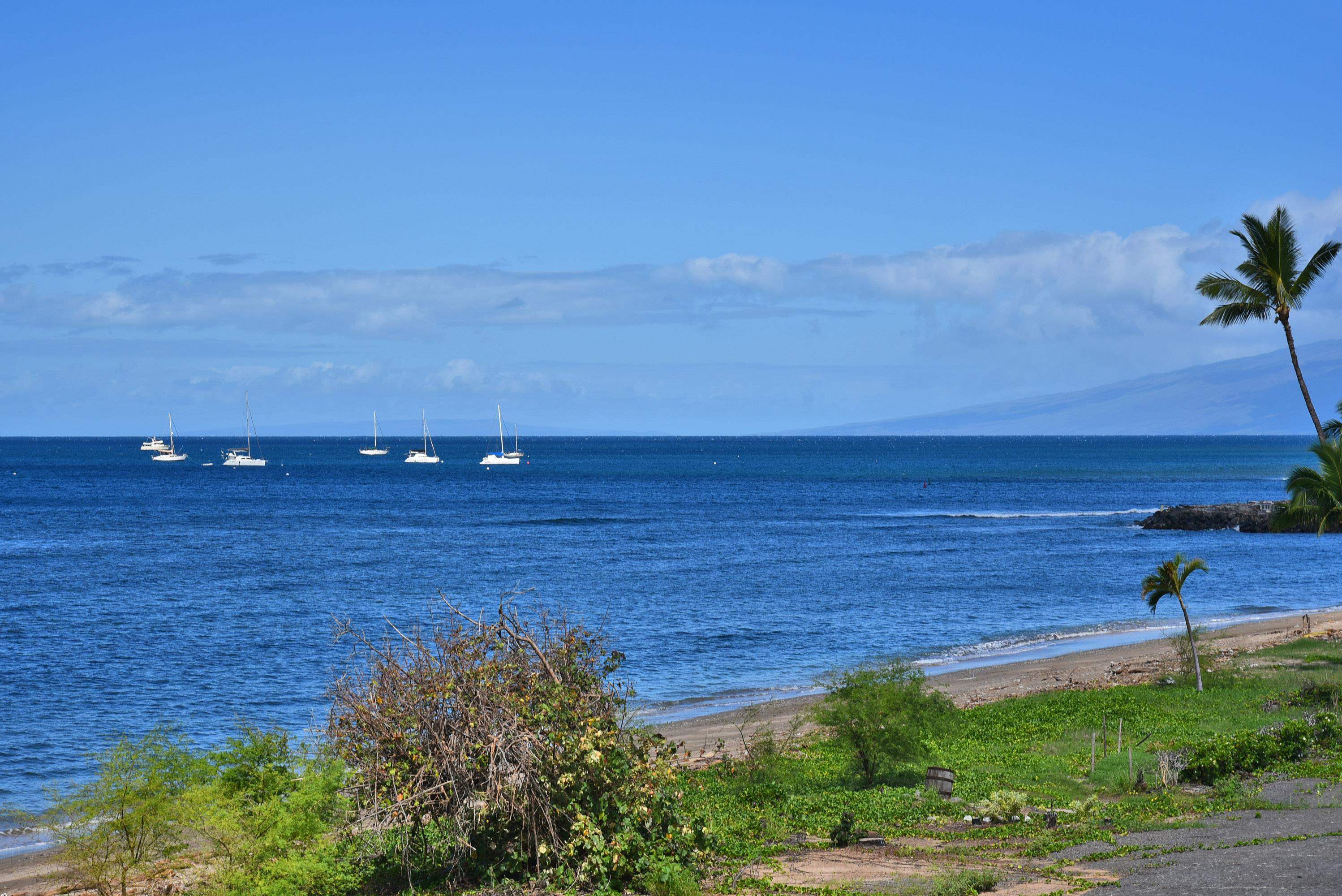 Lahaina Shores condo # 333, Lahaina, Hawaii - photo 24 of 38