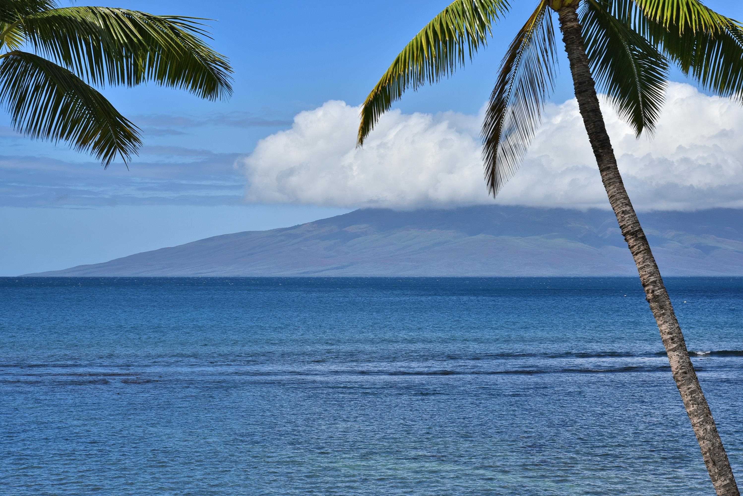 Lahaina Shores condo # 333, Lahaina, Hawaii - photo 25 of 38