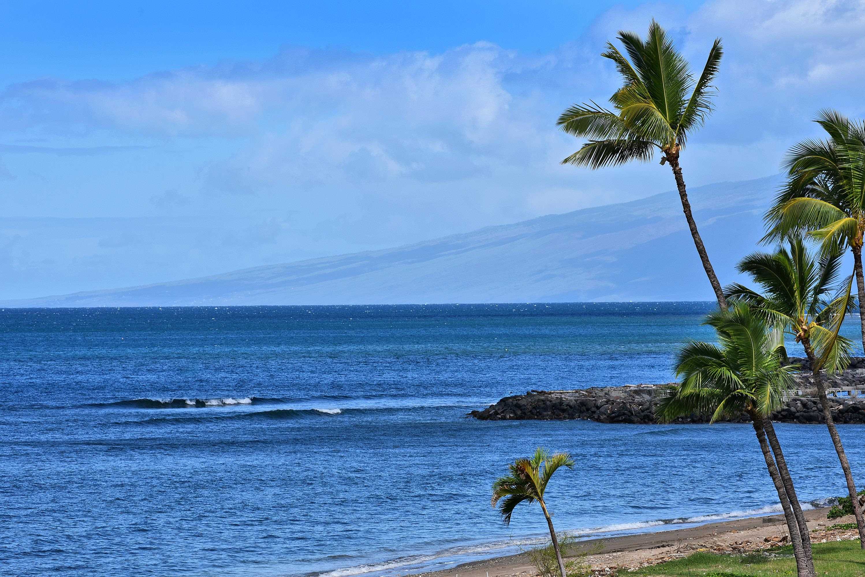 Lahaina Shores condo # 333, Lahaina, Hawaii - photo 26 of 38