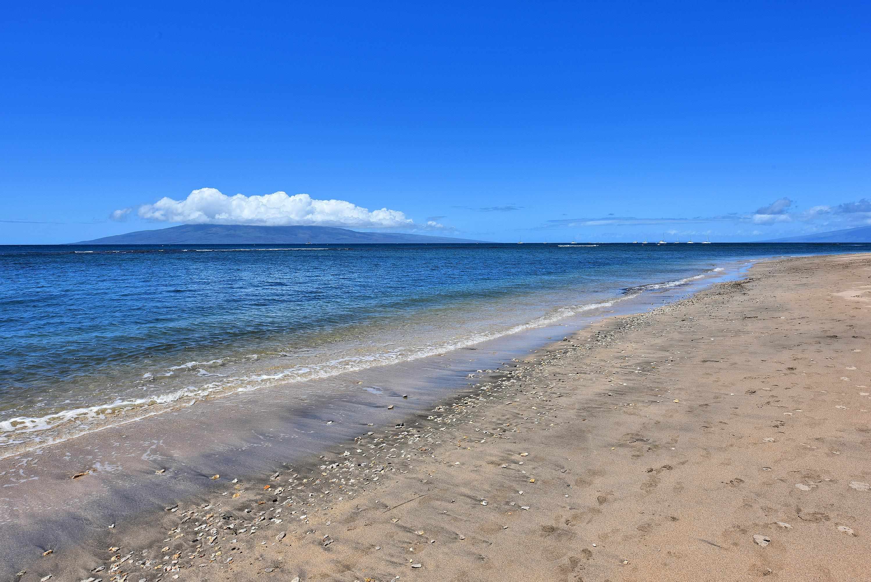 Lahaina Shores condo # 333, Lahaina, Hawaii - photo 35 of 38
