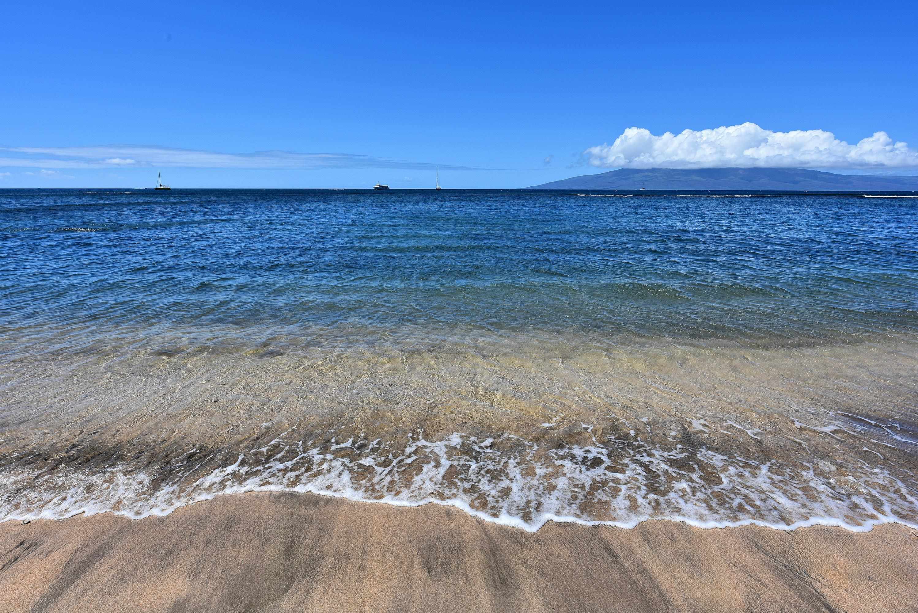 Lahaina Shores condo # 333, Lahaina, Hawaii - photo 36 of 38