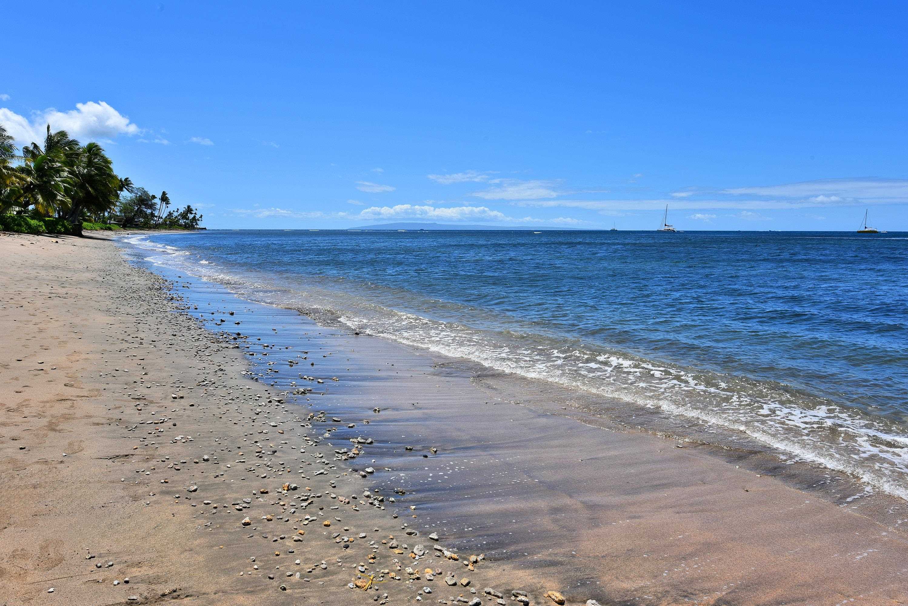 Lahaina Shores condo # 333, Lahaina, Hawaii - photo 37 of 38