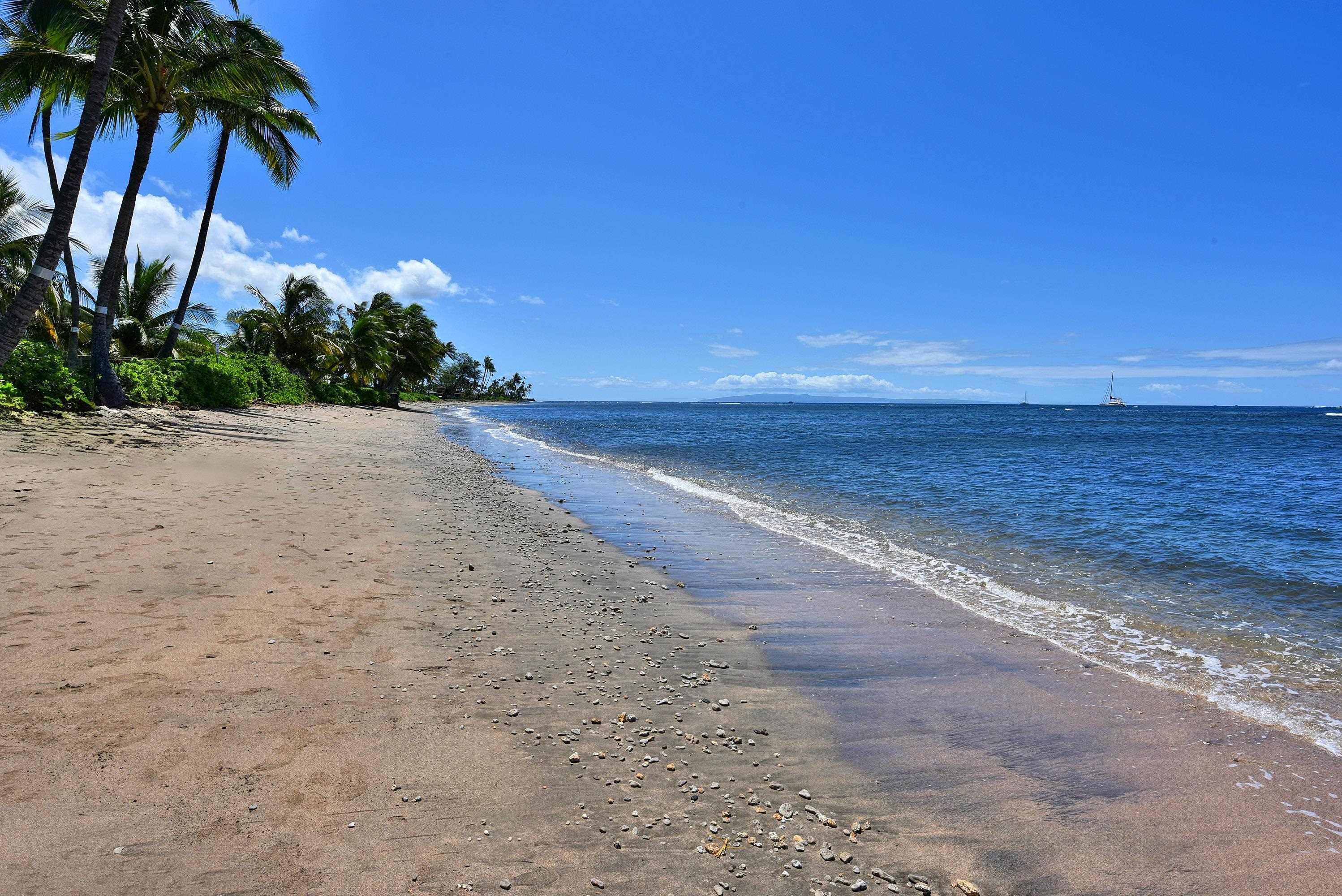 Lahaina Shores condo # 333, Lahaina, Hawaii - photo 38 of 38