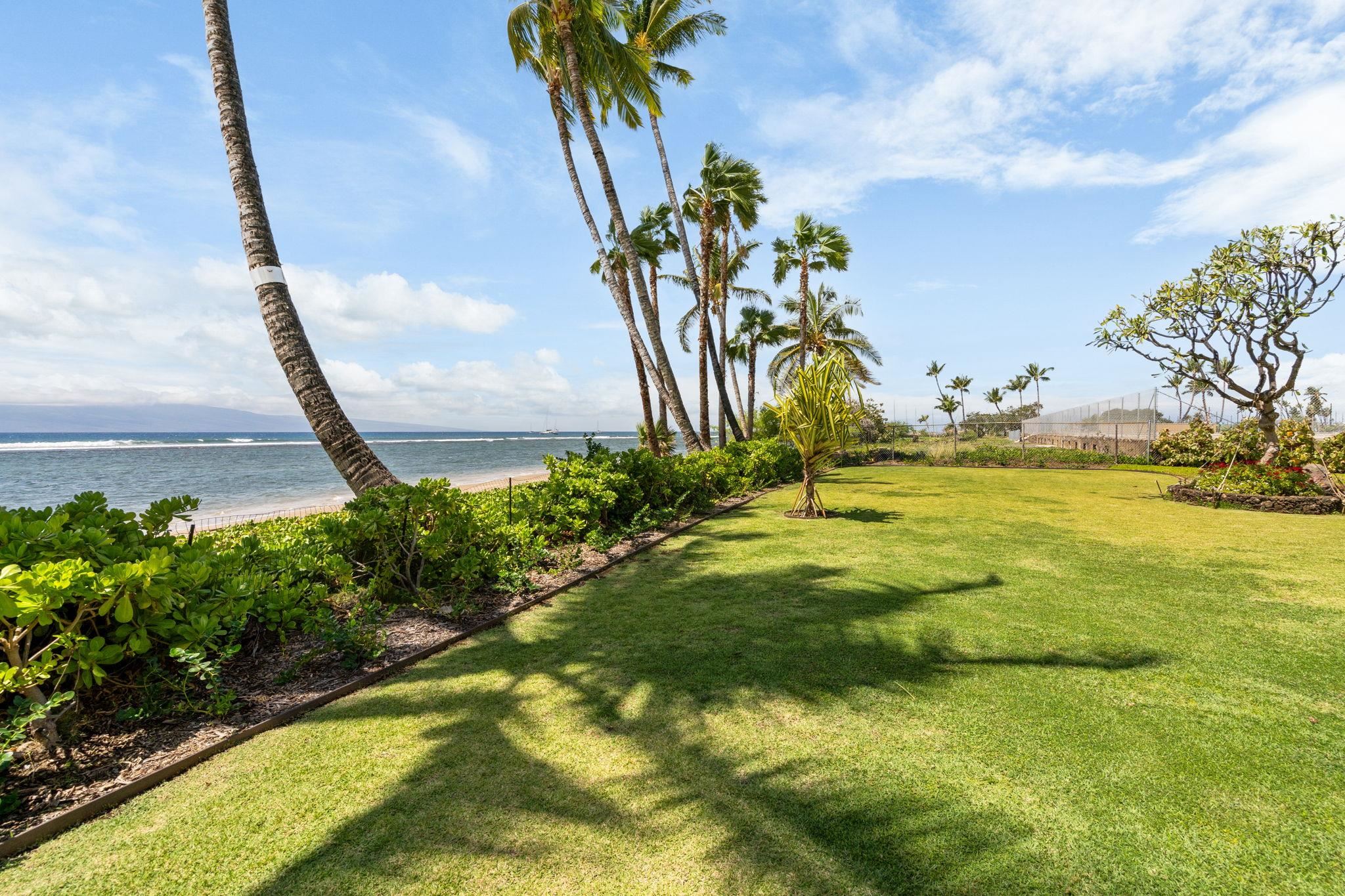 Lahaina Shores condo # 402, Lahaina, Hawaii - photo 28 of 34