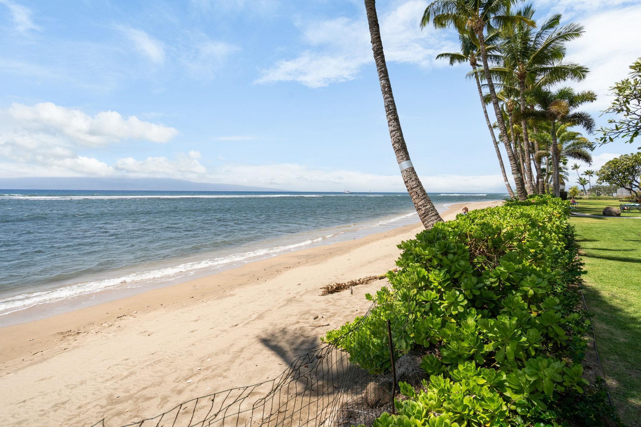 Lahaina Shores condo # 402, Lahaina, Hawaii - photo 31 of 34