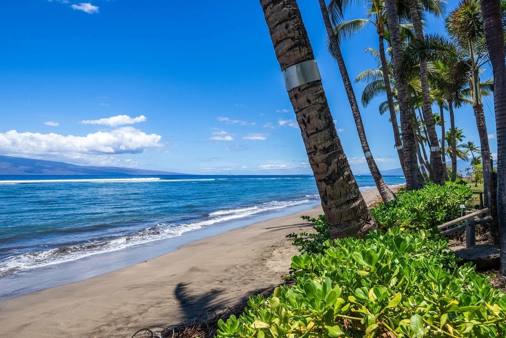 Lahaina Shores condo # 419, Lahaina, Hawaii - photo 7 of 27