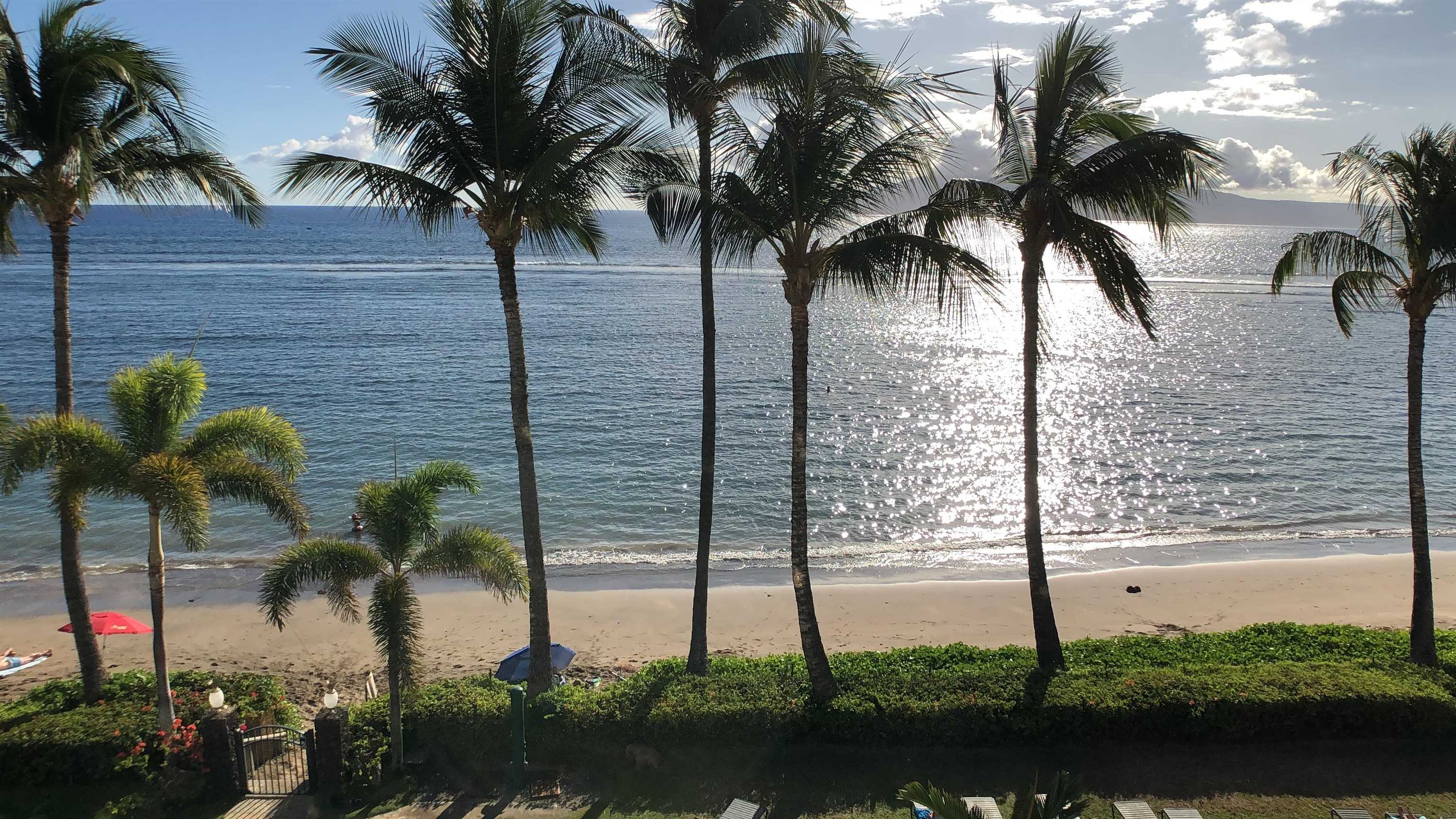 Lahaina Shores condo # 419, Lahaina, Hawaii - photo 9 of 27