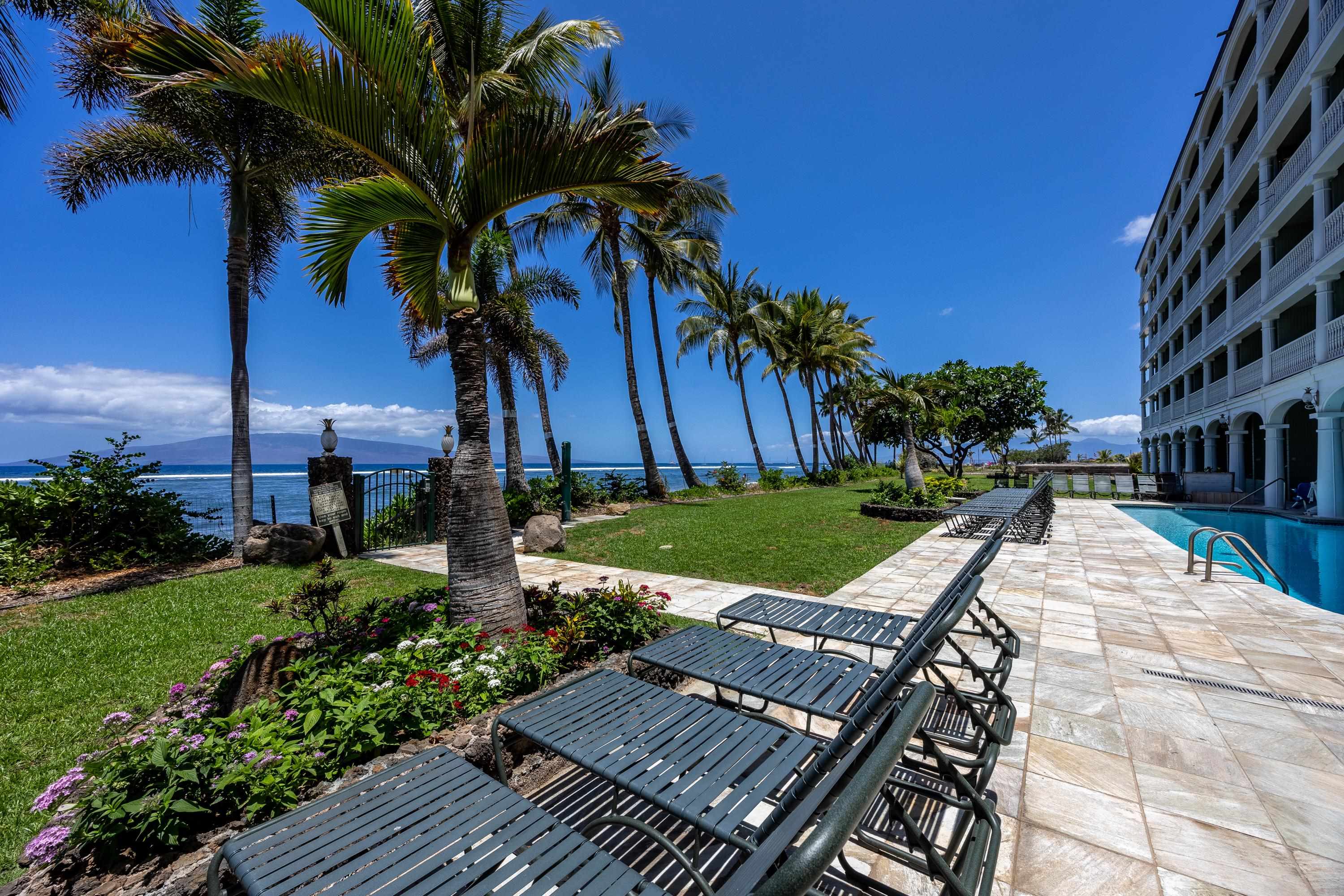 Lahaina Shores condo # 431, Lahaina, Hawaii - photo 28 of 41