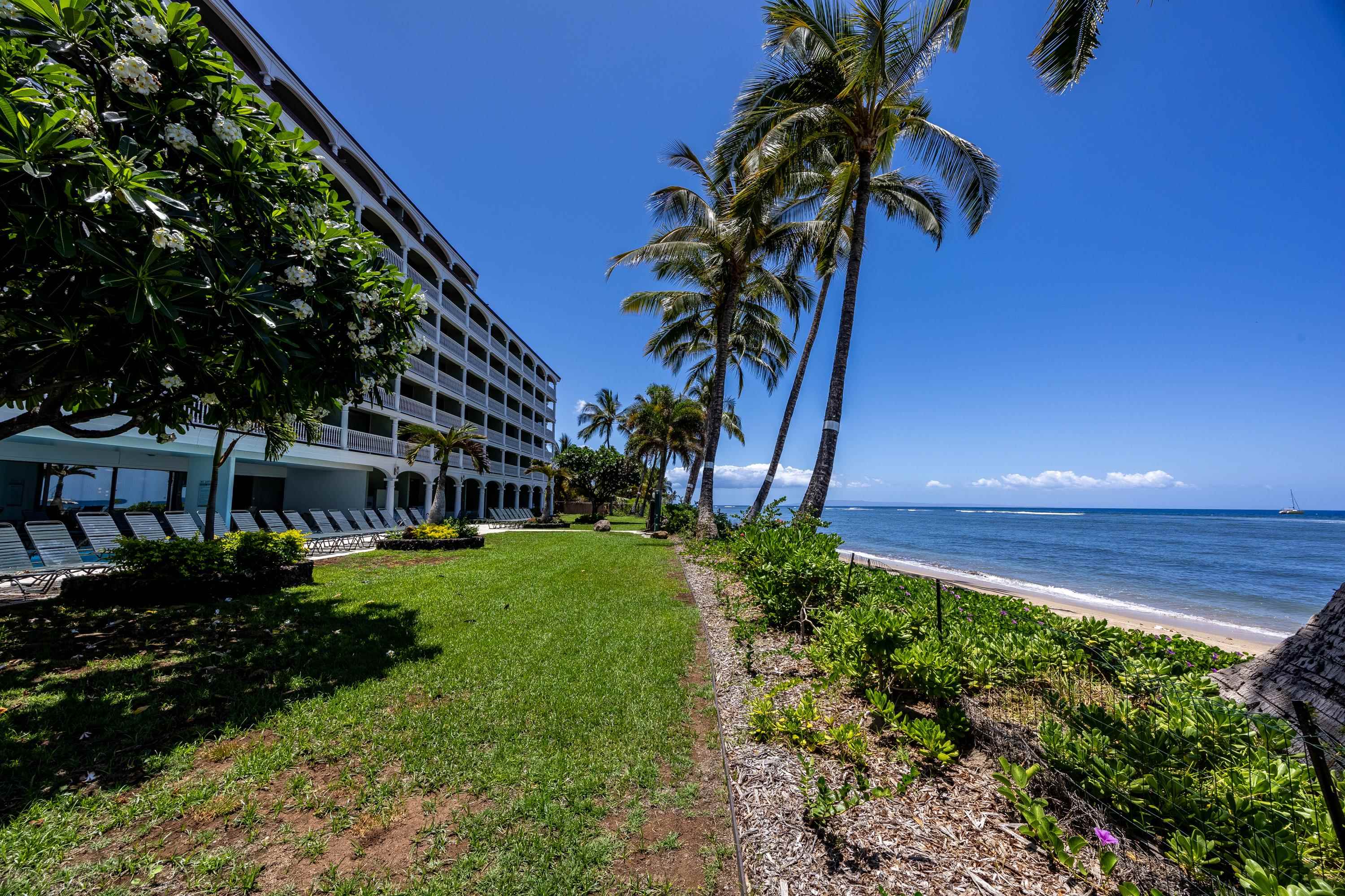 Lahaina Shores condo # 431, Lahaina, Hawaii - photo 35 of 41