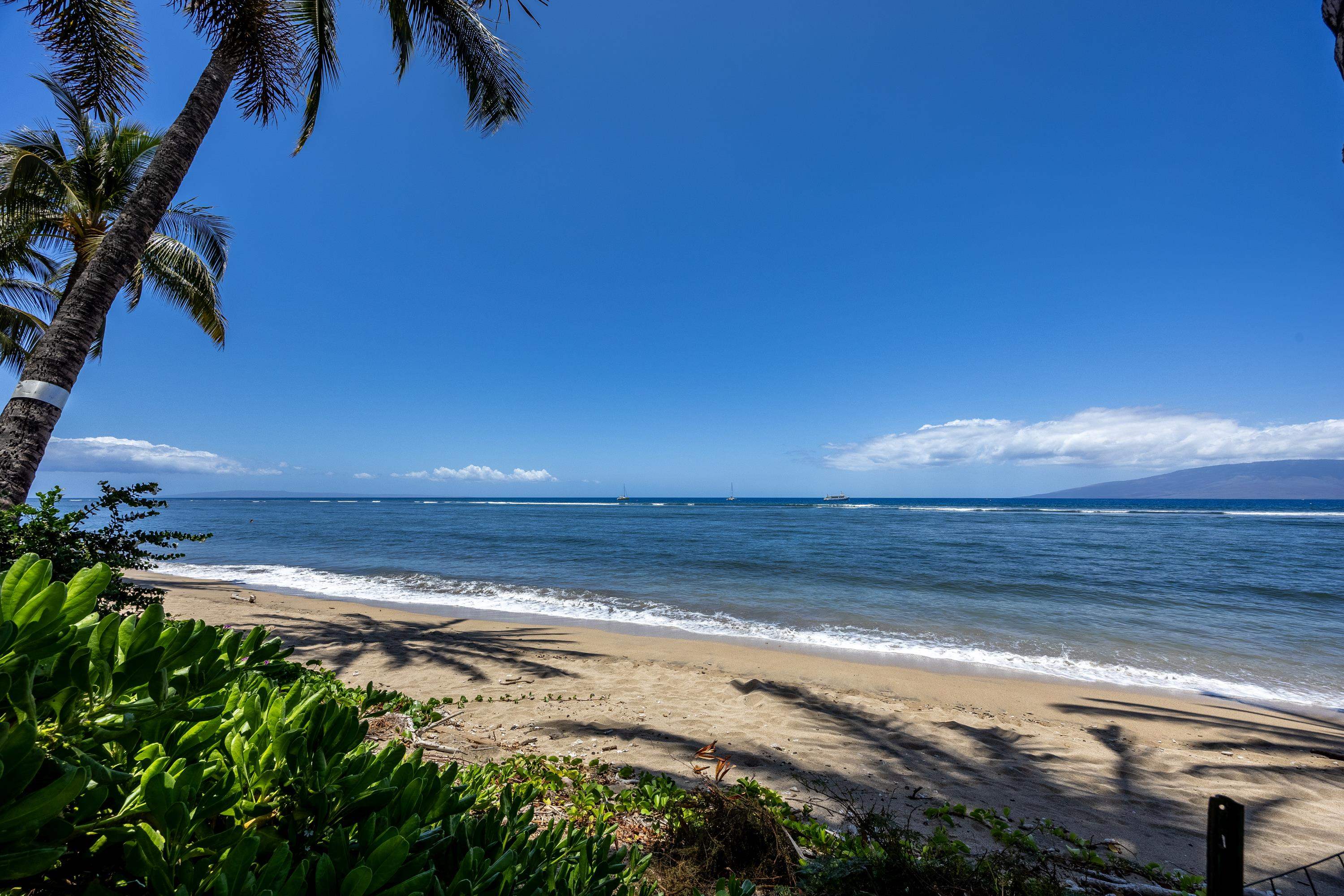 Lahaina Shores condo # 432, Lahaina, Hawaii - photo 22 of 30