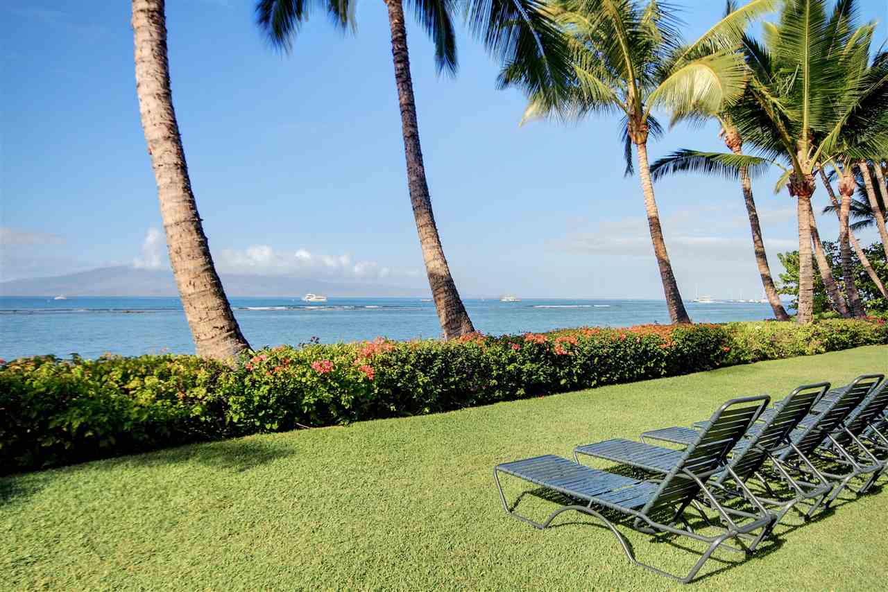 Lahaina Shores condo # 531, Lahaina, Hawaii - photo 17 of 17