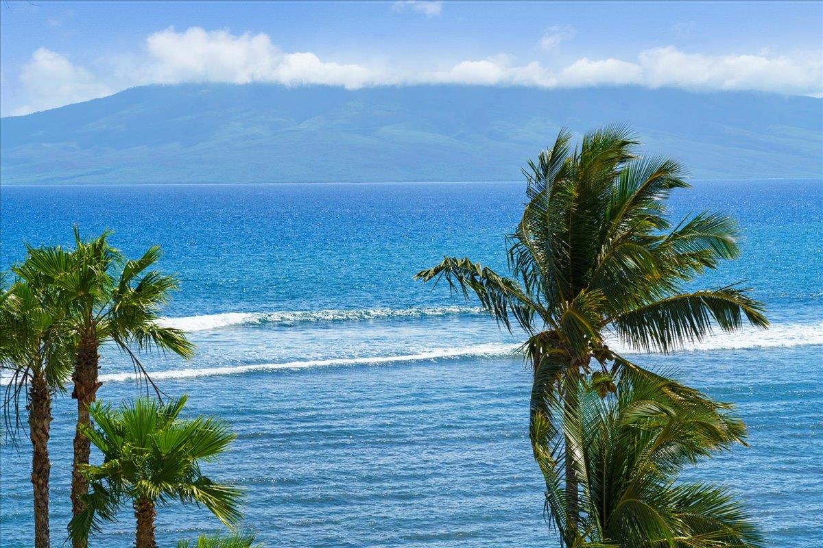 Lahaina Shores condo # 534, Lahaina, Hawaii - photo 17 of 35