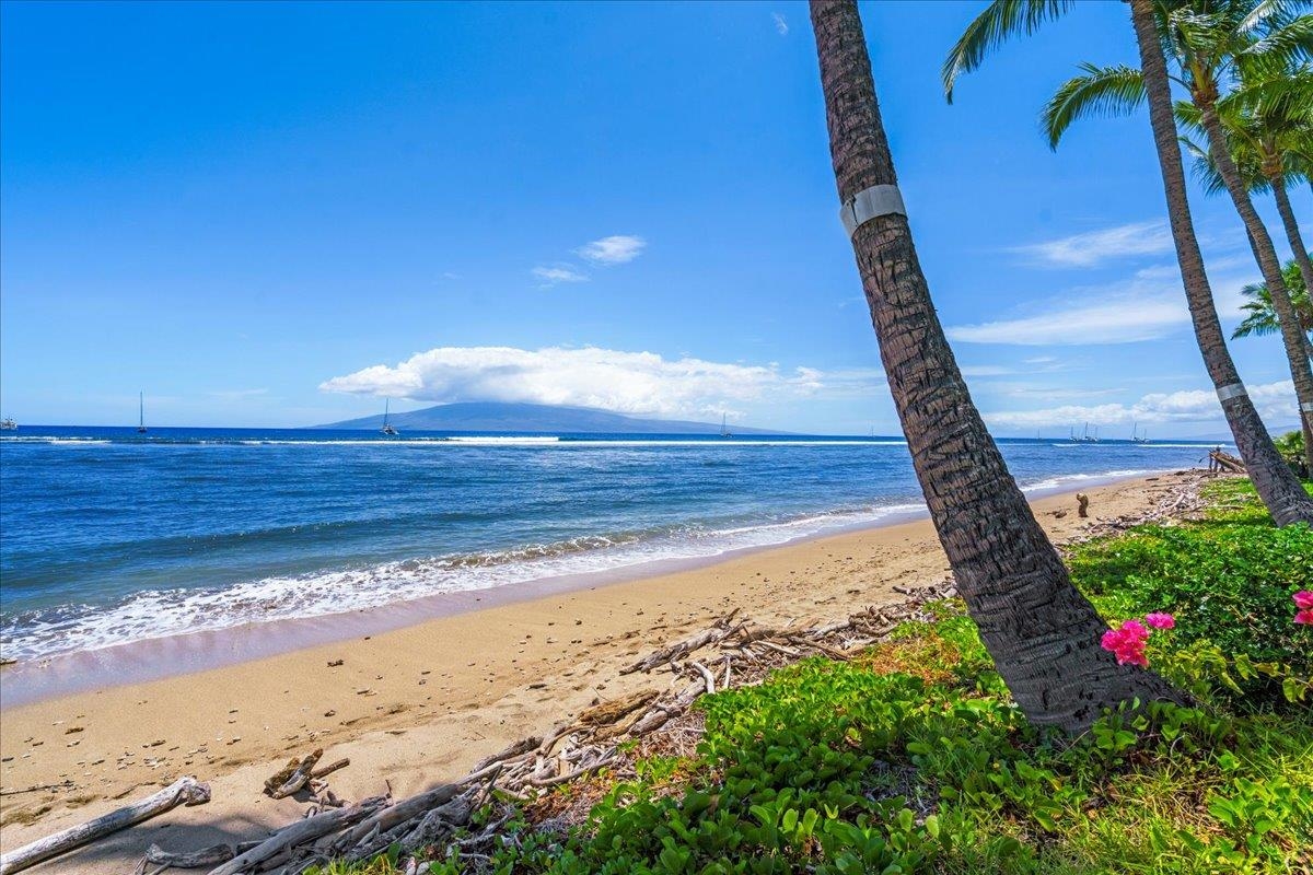 Lahaina Shores condo # 534, Lahaina, Hawaii - photo 24 of 35