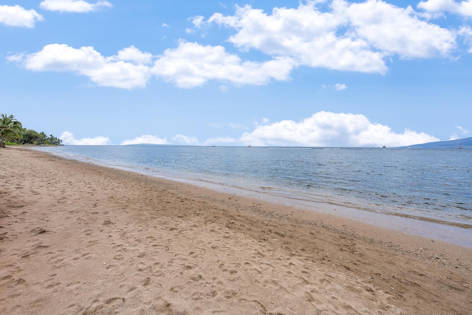 Lahaina Shores condo # 605, Lahaina, Hawaii - photo 3 of 5