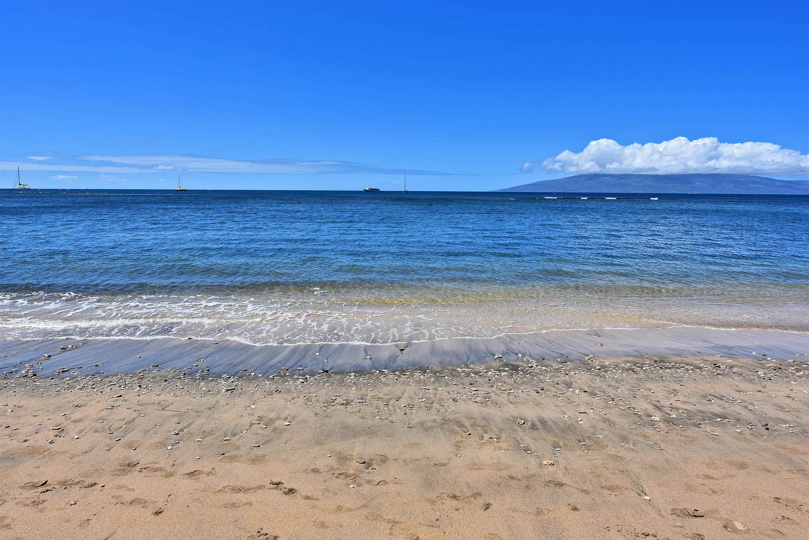 Lahaina Shores condo # 614, Lahaina, Hawaii - photo 28 of 32