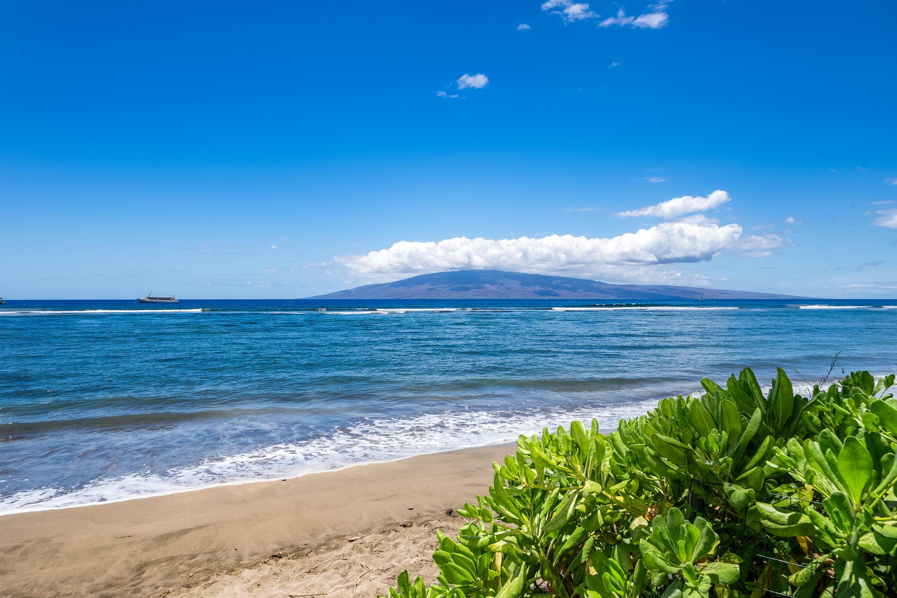 Lahaina Shores condo # 617, Lahaina, Hawaii - photo 31 of 37
