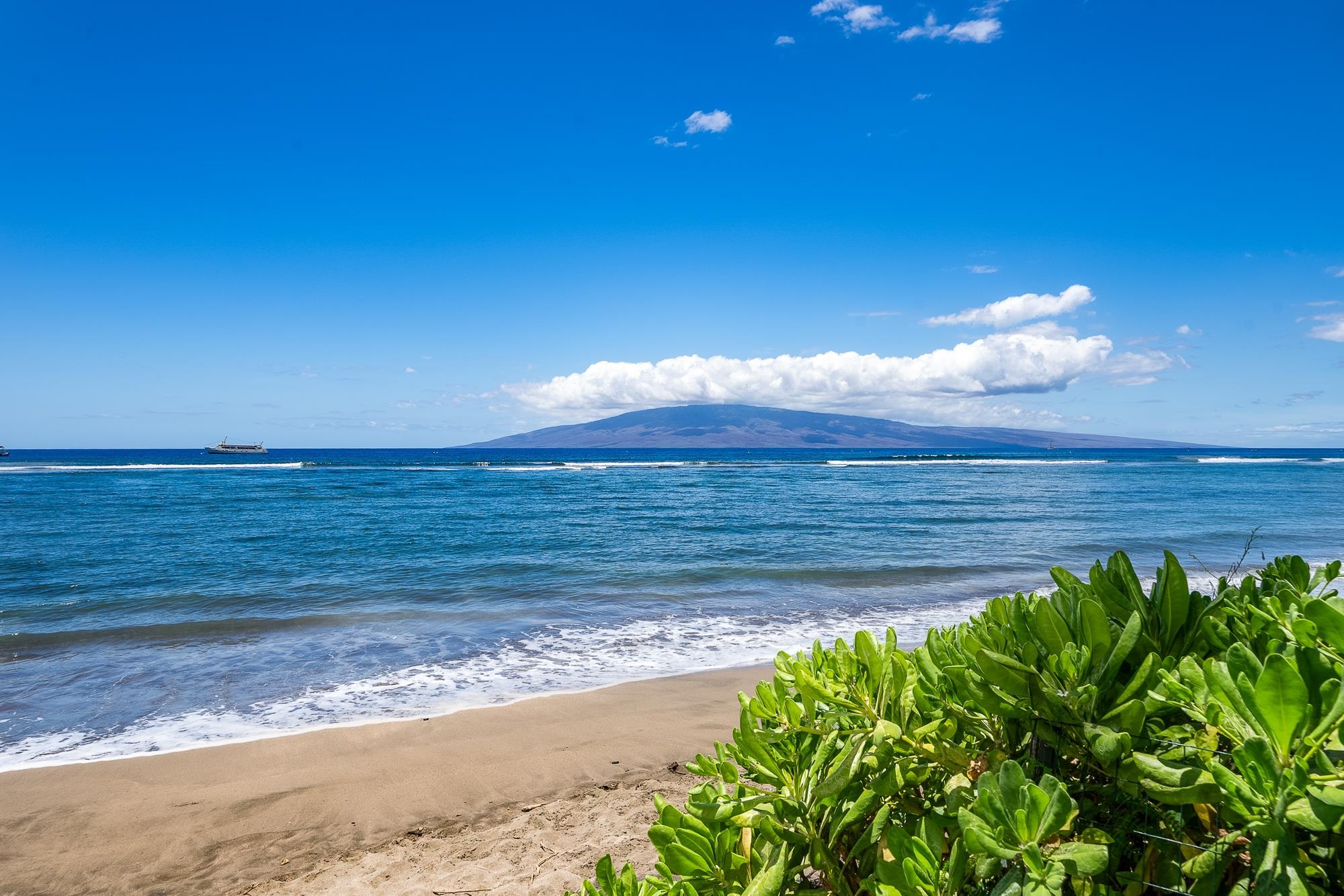 Lahaina Shores condo # 620, Lahaina, Hawaii - photo 35 of 42