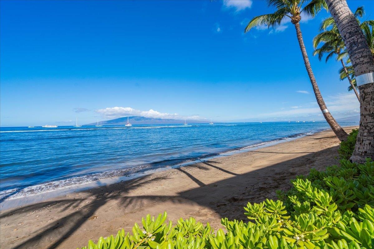 Lahaina Shores condo # 629, Lahaina, Hawaii - photo 30 of 36